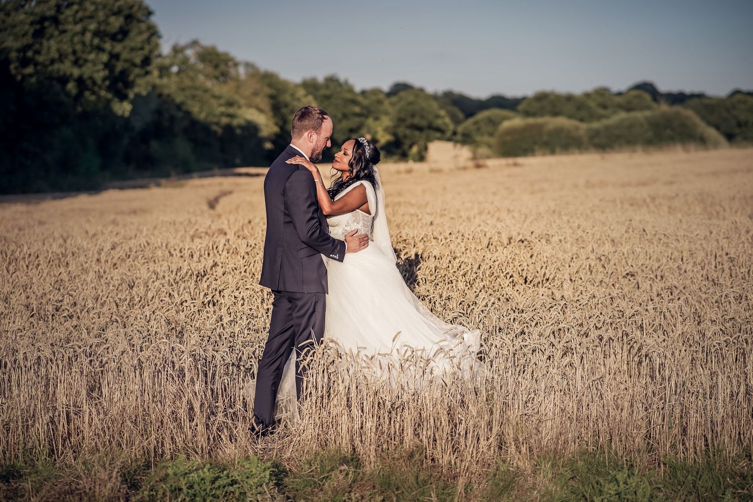 A romantic wedding photo session in a golden wheat field at sunset.
