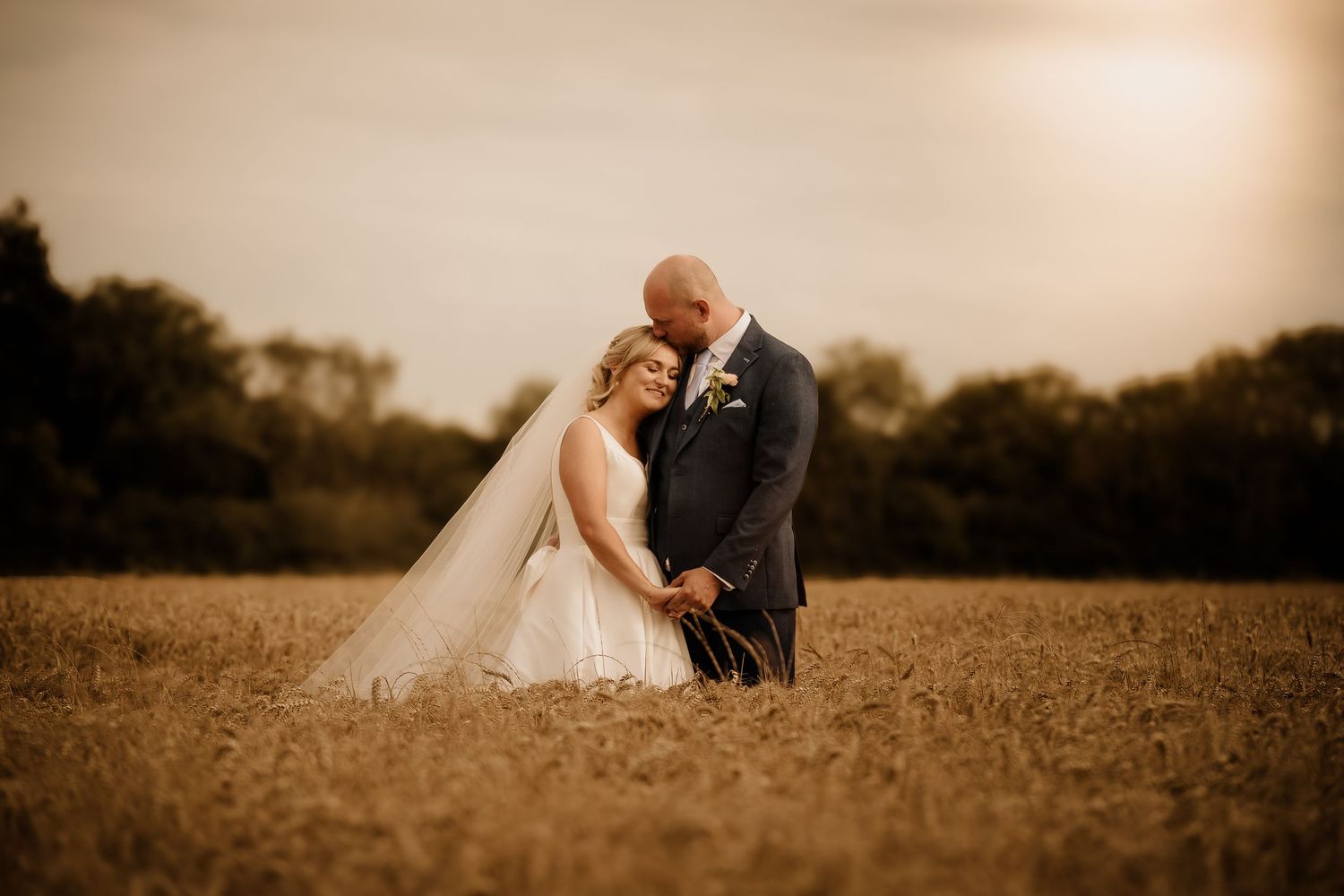 A romantic couple poses together in a golden wheat field at sunset.