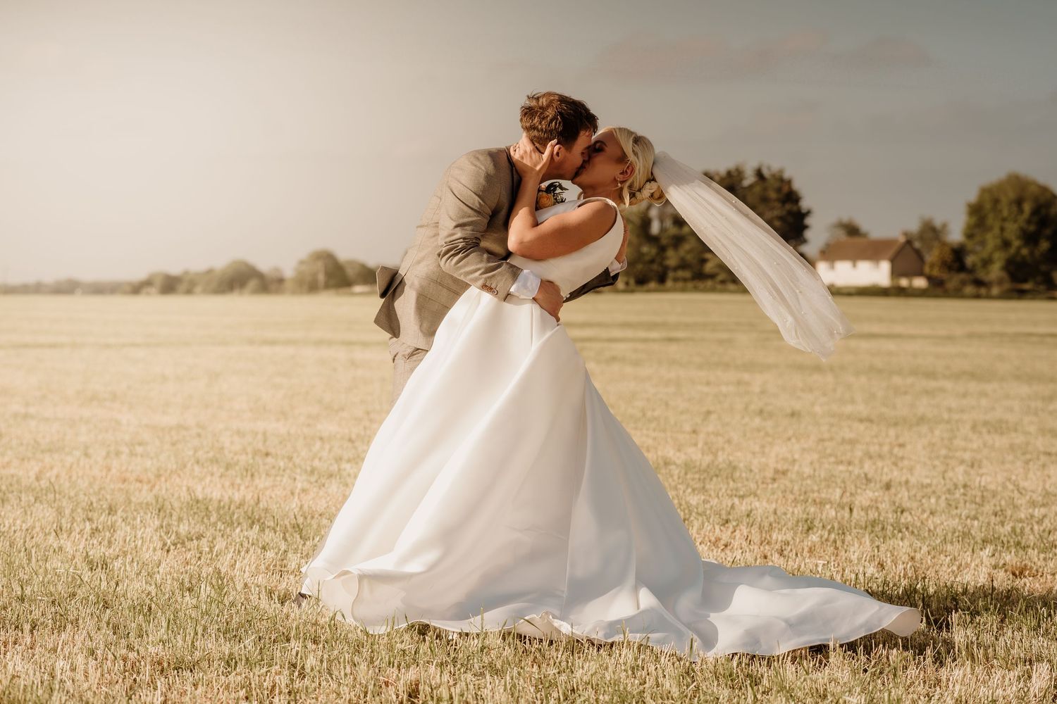 Romantic wedding photo sequence in a golden wheat field at sunset.