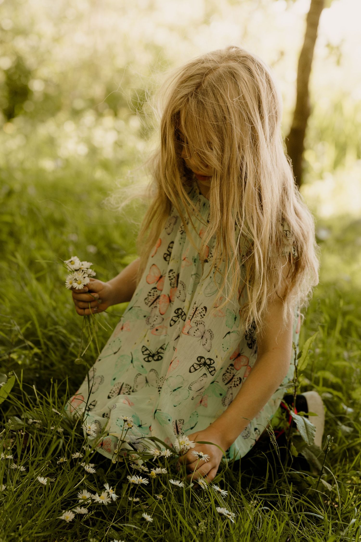 Young girl in floral dress picking daisies in sunlit meadow.