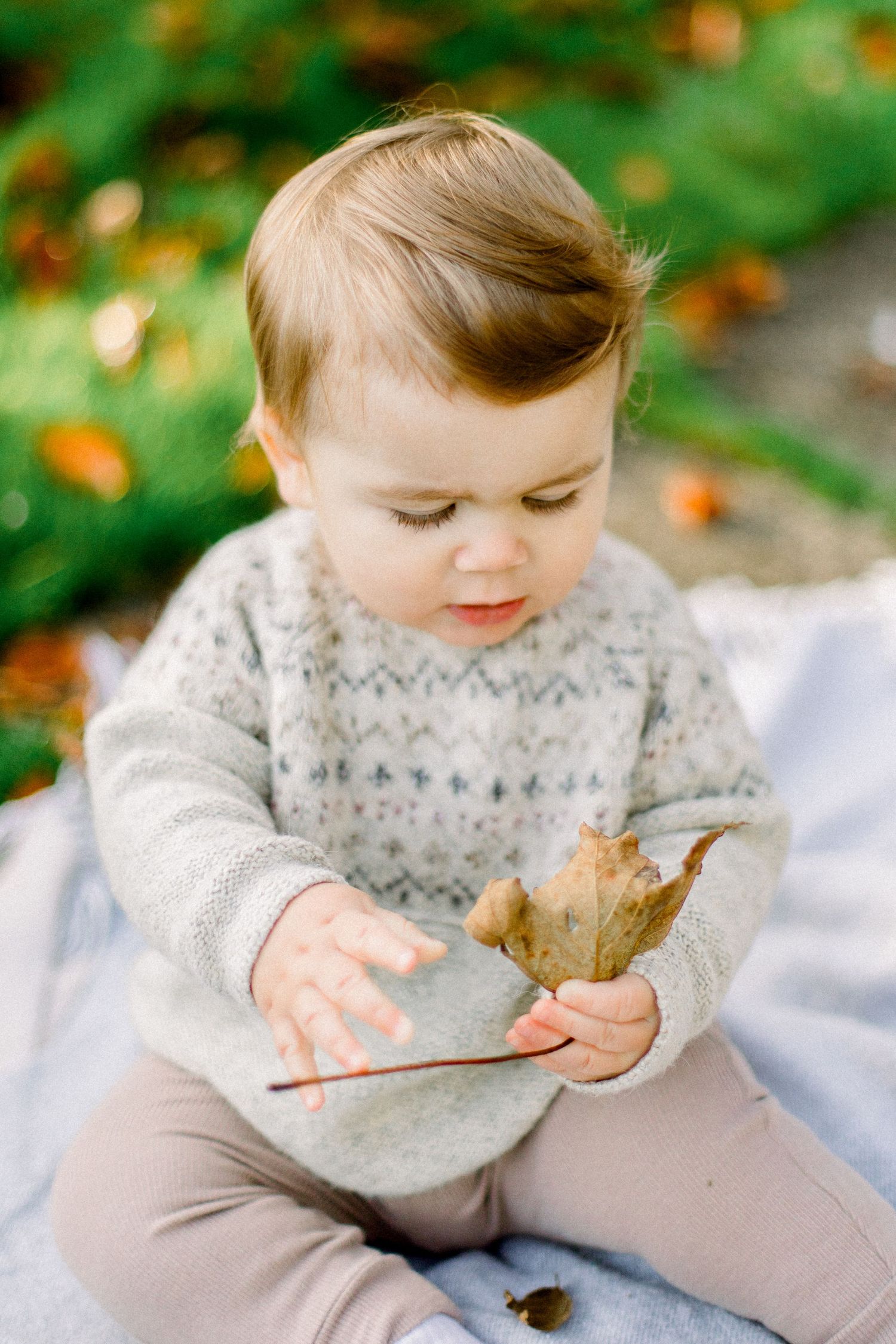 A cute baby in a knit sweater sits on a blanket outdoors, holding a dry autumn leaf in fall setting.