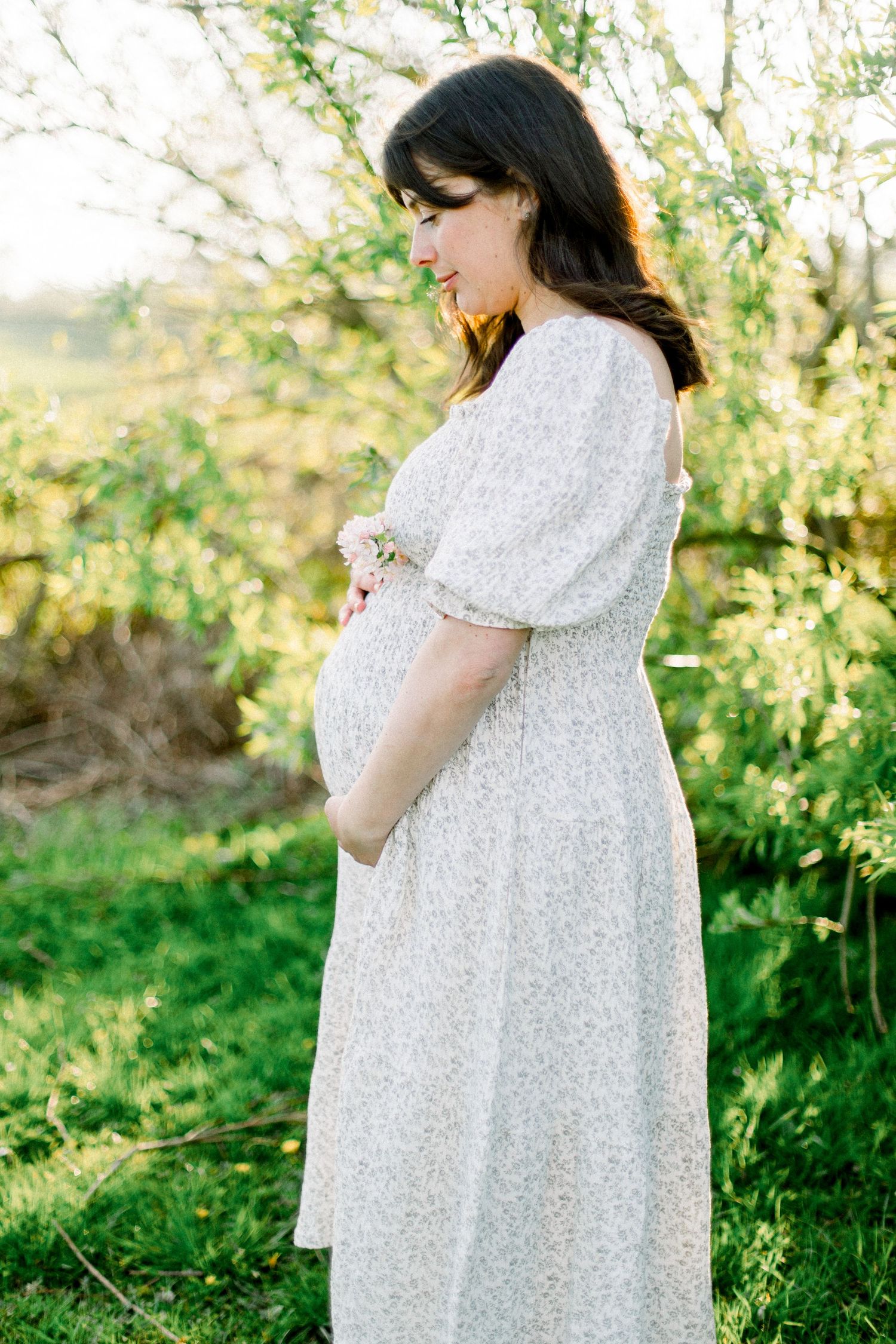 sunshine filled maternity picture