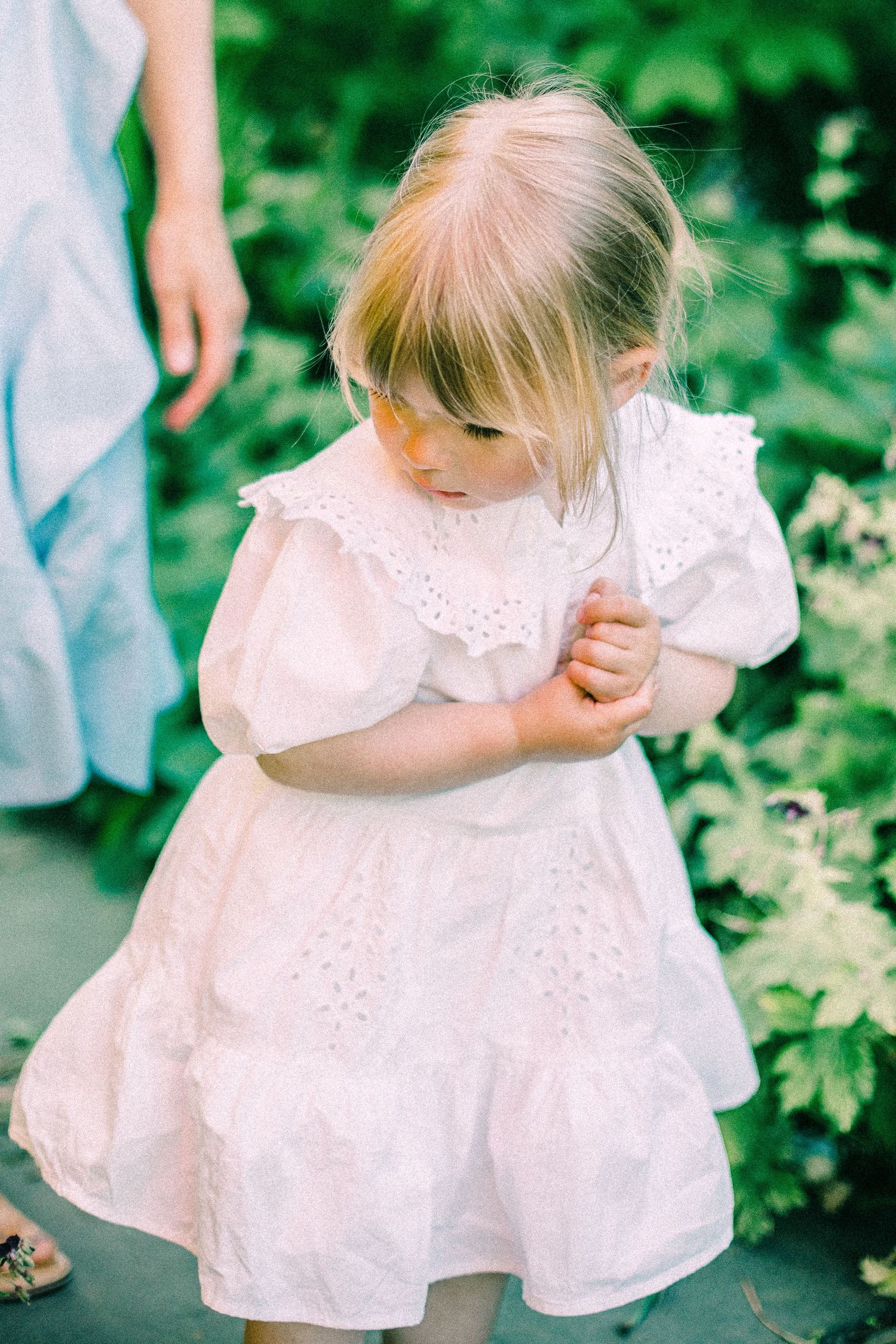Toddler with blonde hair in a white lace-trimmed eyelet dress stands with hands clasped, looking down beside lush green garden foliage.