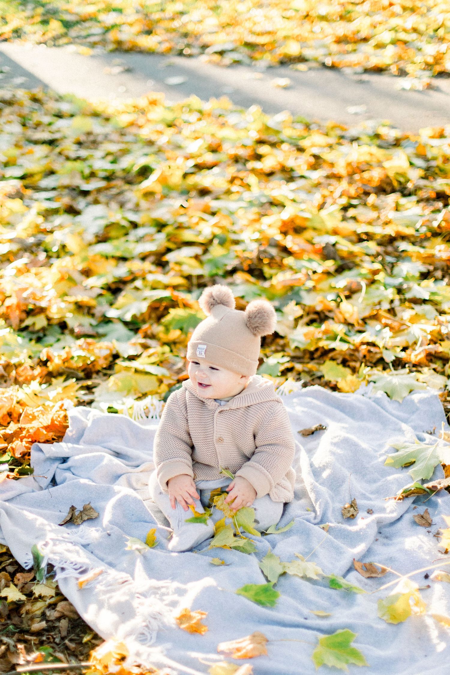 Stuffed teddy bear sitting on white blanket surrounded by scattered yellow autumn leaves.