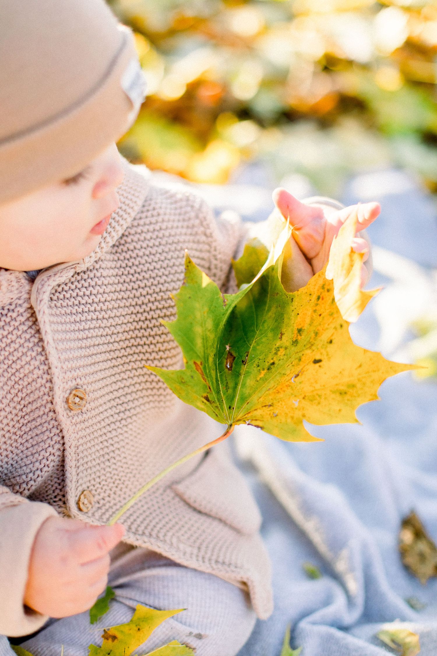 Outdoor family photography at sunset by Tabitha Stark Photography