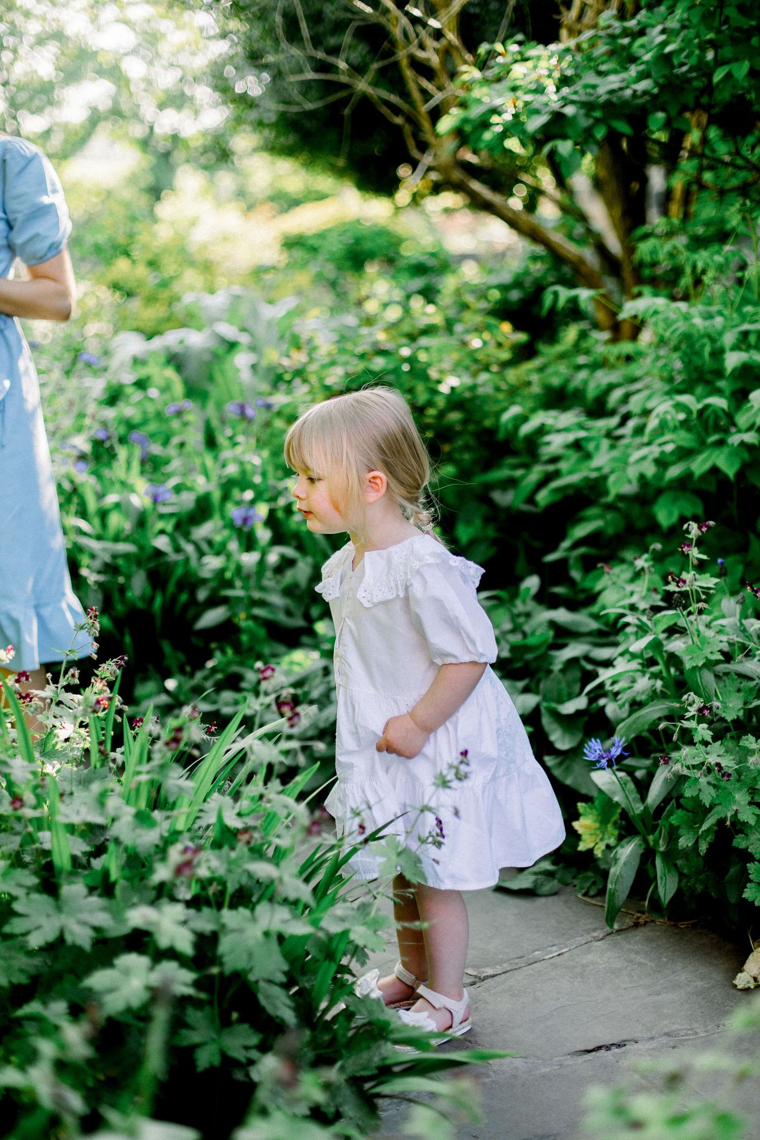 Toddler girl in white dress exploring a lush garden path surrounded by green plants and colorful flowers.