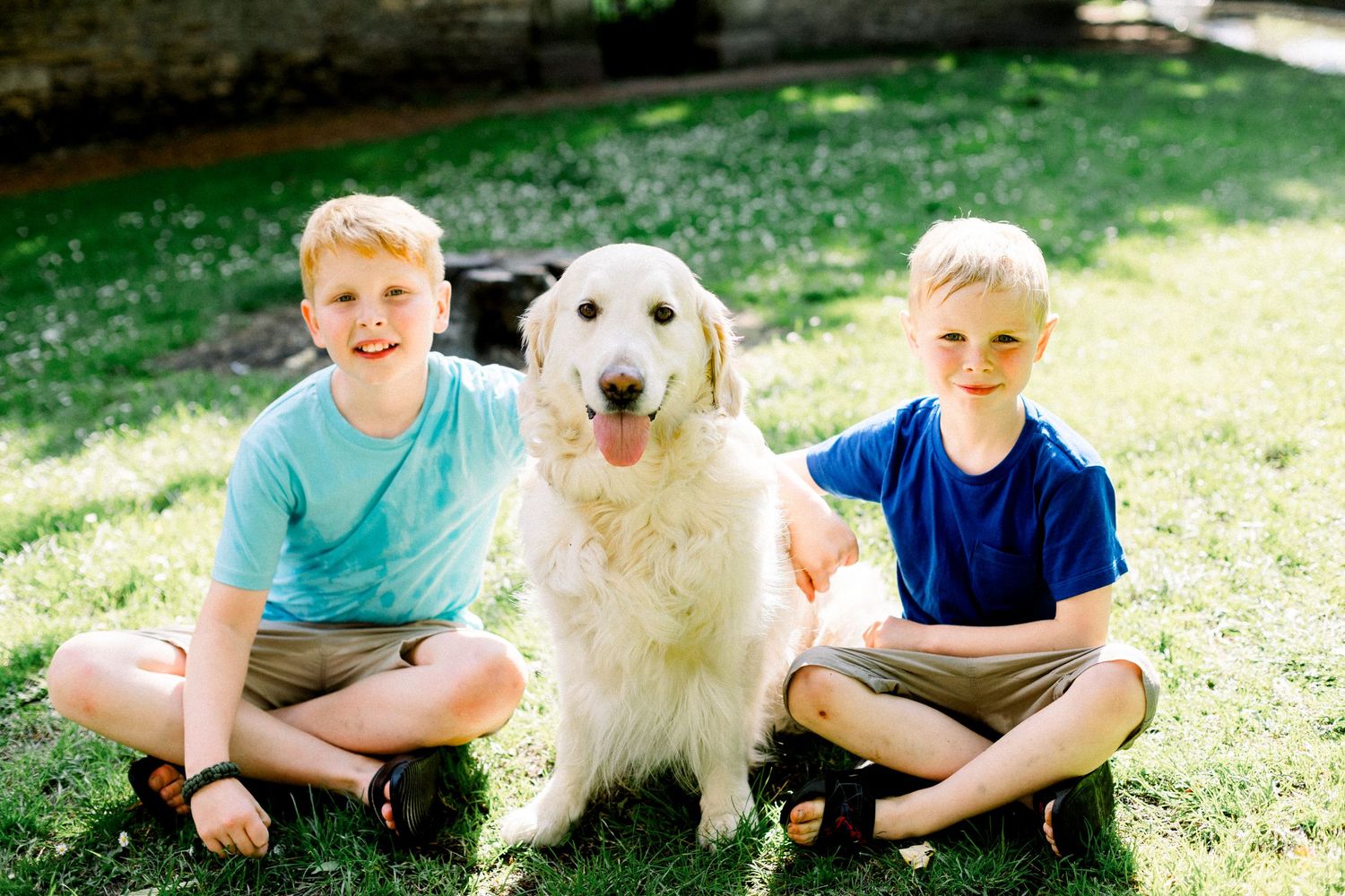 Two smiling blonde boys sit cross-legged on green grass with a fluffy golden retriever dog between them outdoors.
