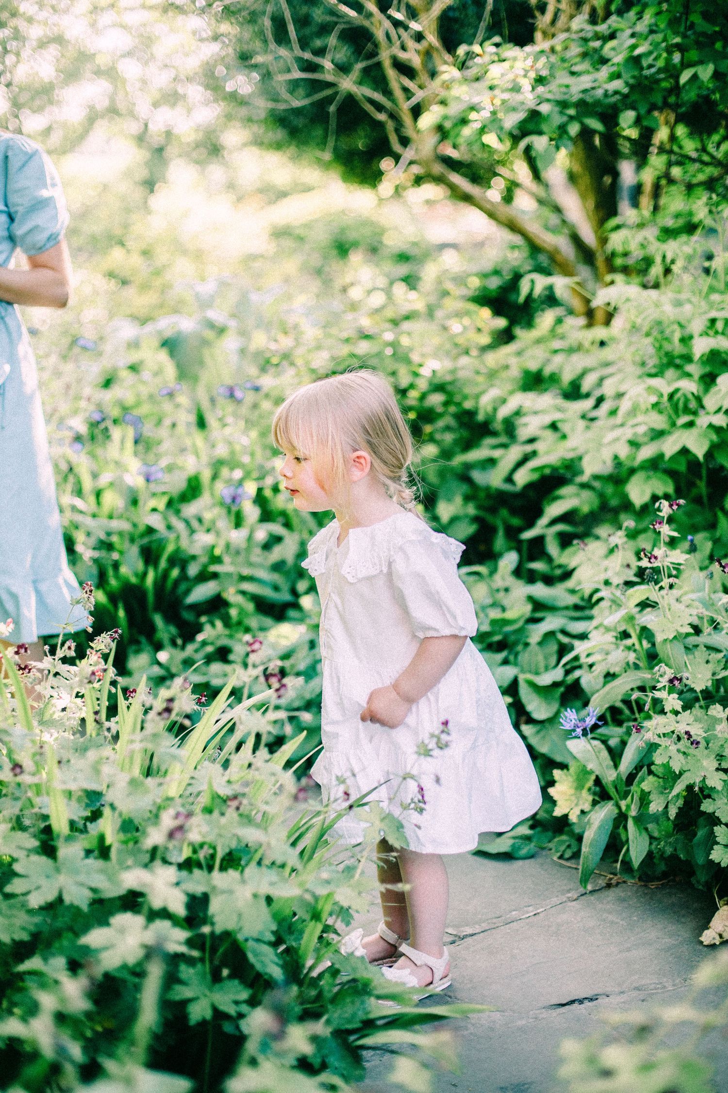 Toddler girl in a white ruffled dress and sandals stands on a stone path, gazing at lush green garden plants and purple flowers.