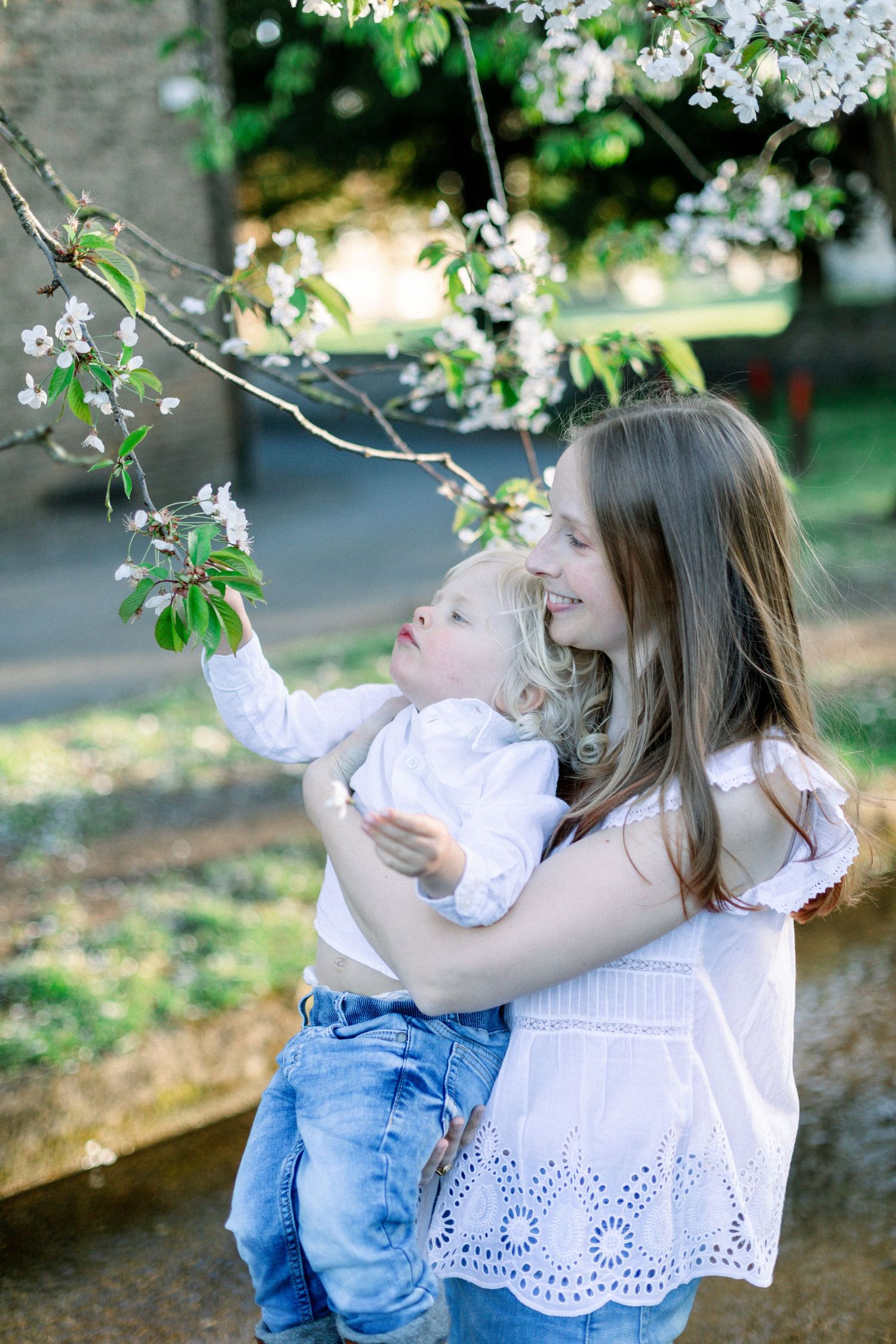 Mother holding toddler reaching for white cherry blossoms on a flowering tree branch in a sunny garden.