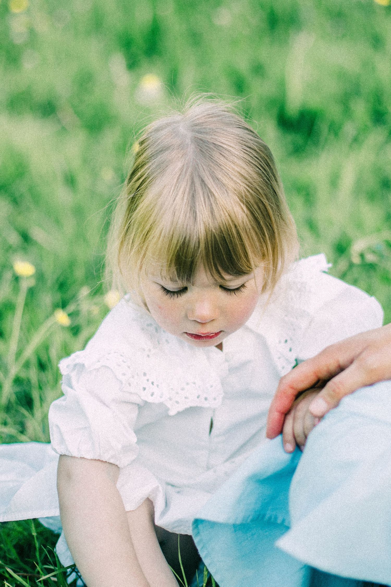 Young child with blonde bangs in a white lace-collar blouse sits in a green meadow with yellow wildflowers, an adult's hand resting nearby.
