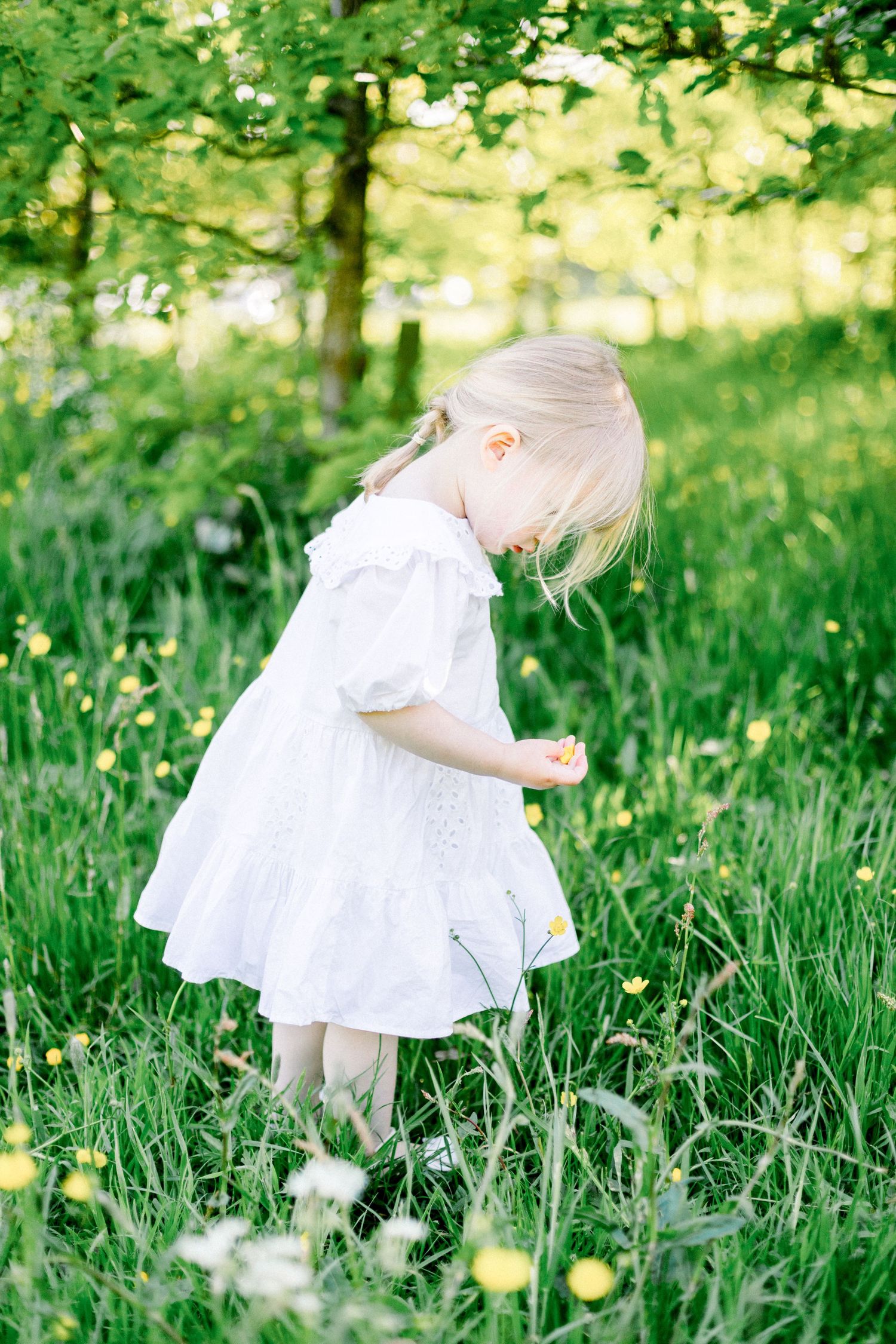 Child in white dress exploring tall grass and wildflowers in a sunny meadow.