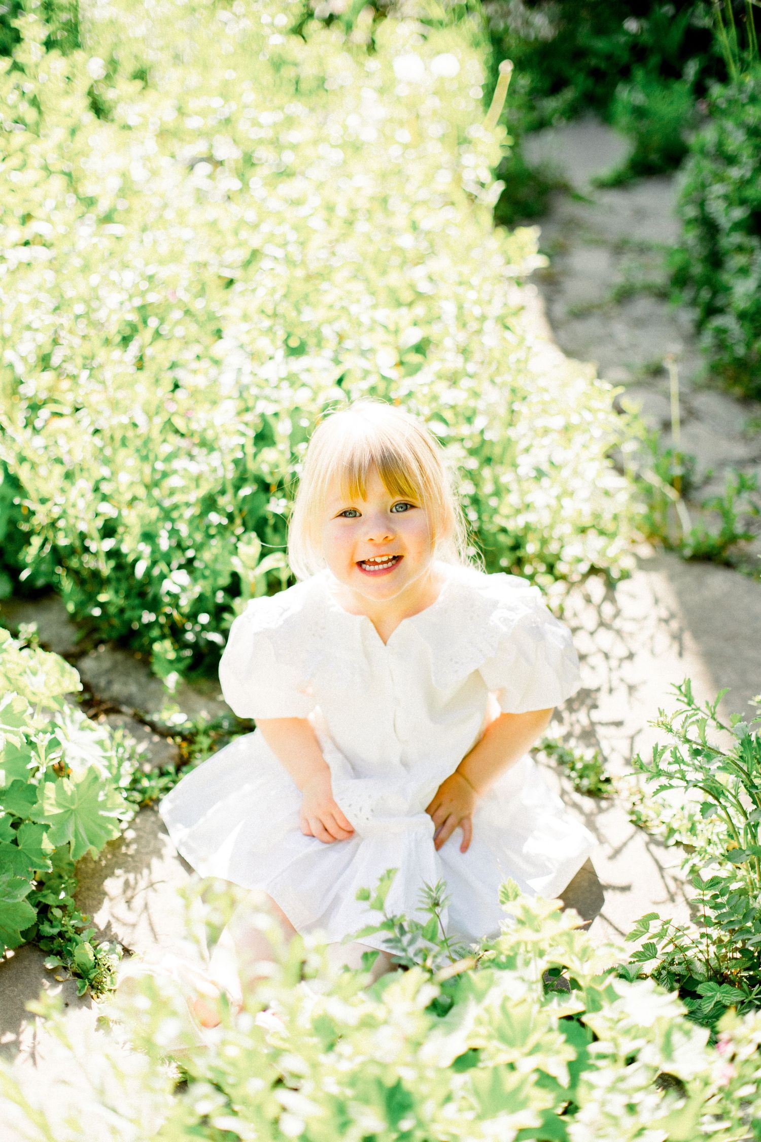 Sweet moment captured in a field of white wildflowers on a sunny day.