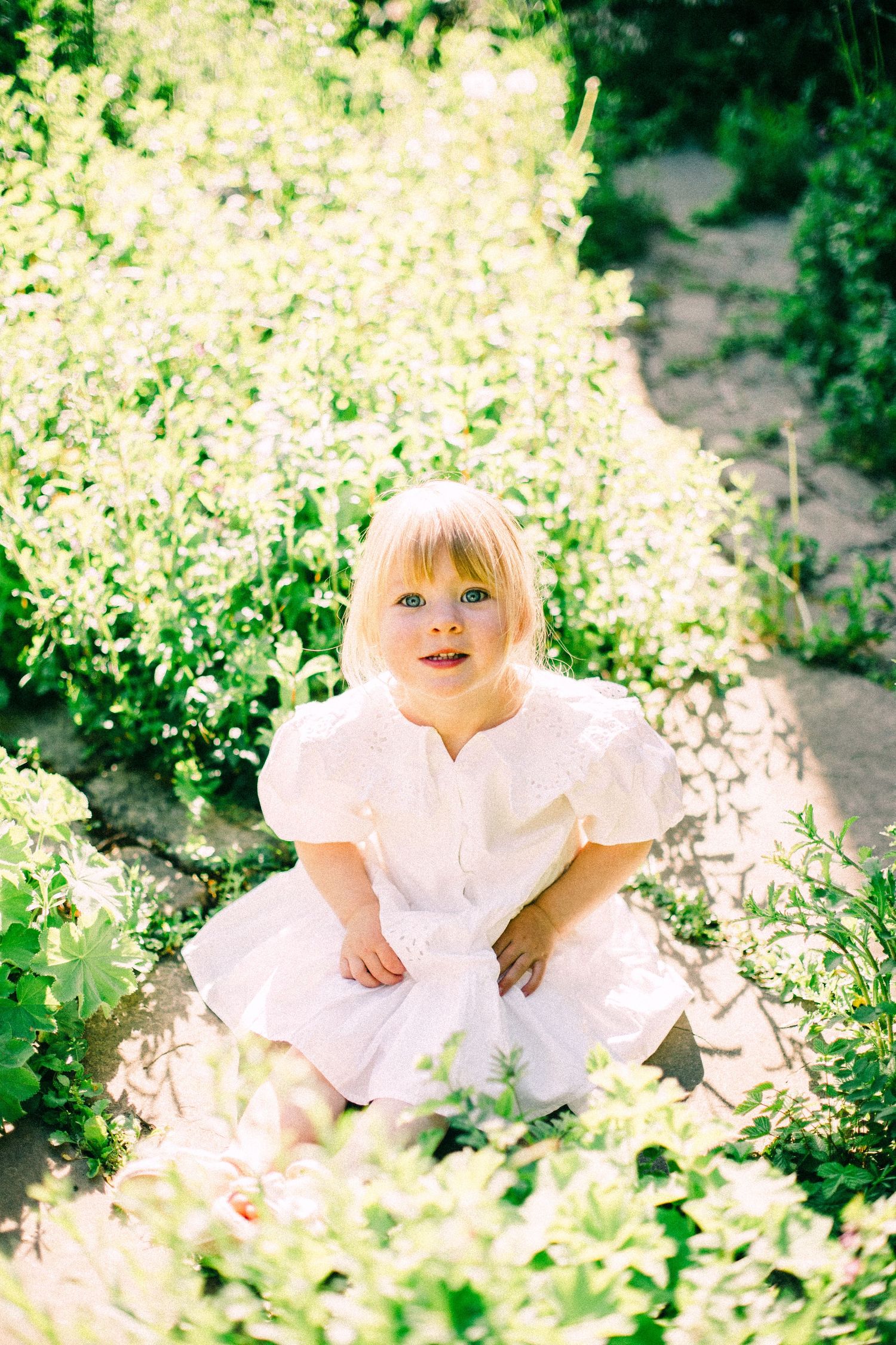 Young blonde girl in a white dress sits on a sunlit garden path surrounded by lush green plants and leaves.