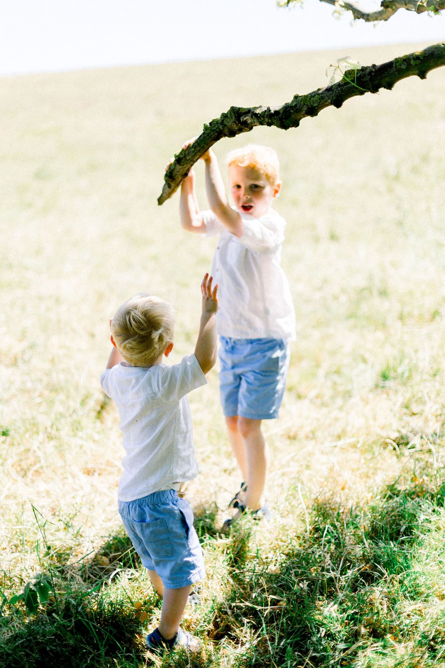Children playing and running in a sunlit field during golden hour.