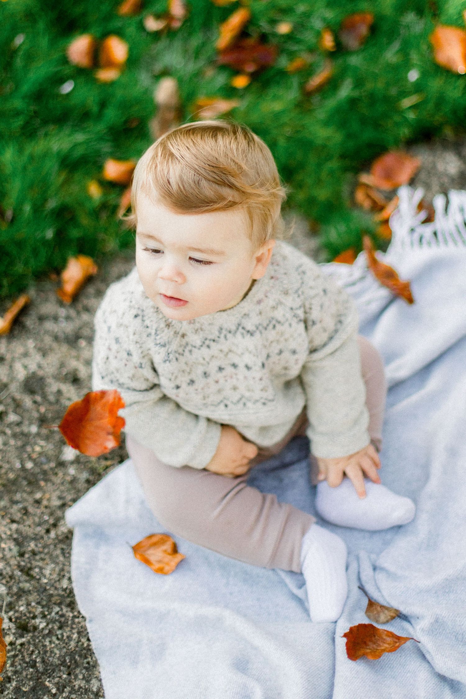 Baby wearing a cozy gray knit sweater sits on a white blanket surrounded by autumn leaves.