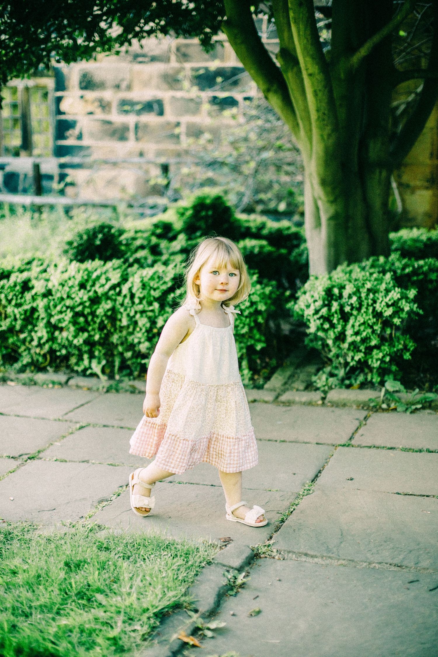 Young toddler in a pink gingham sundress and white sandals walks along a stone garden path beside green hedges and a tree.