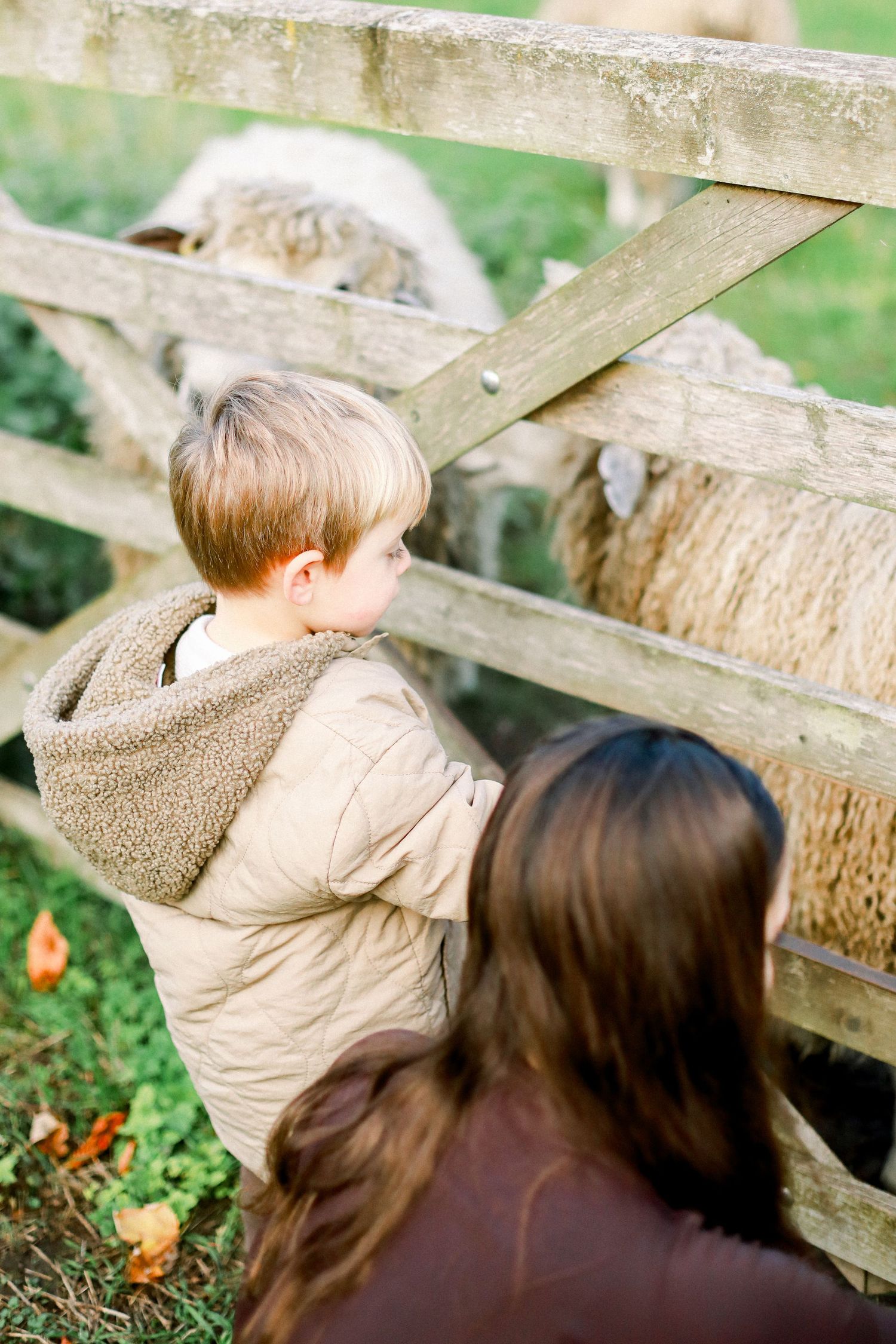 Natural autumn family photography at sunset in East Yorkshire.