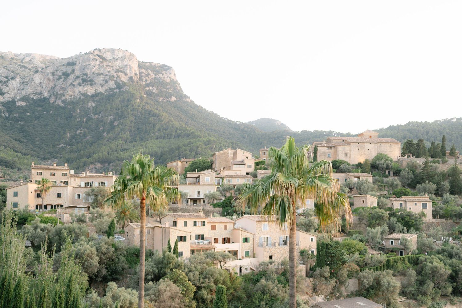 A panoramic view of a Mediterranean hillside town with palm trees and stone buildings.