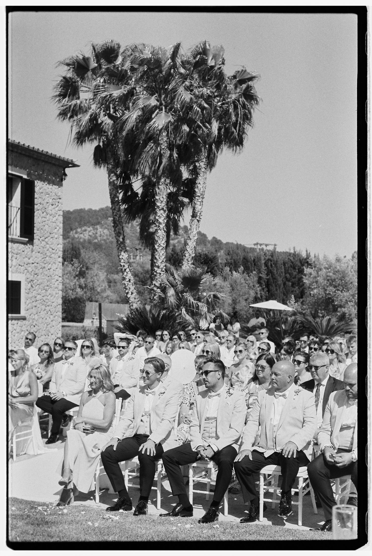 Large wedding party group photo with palm trees in the background.