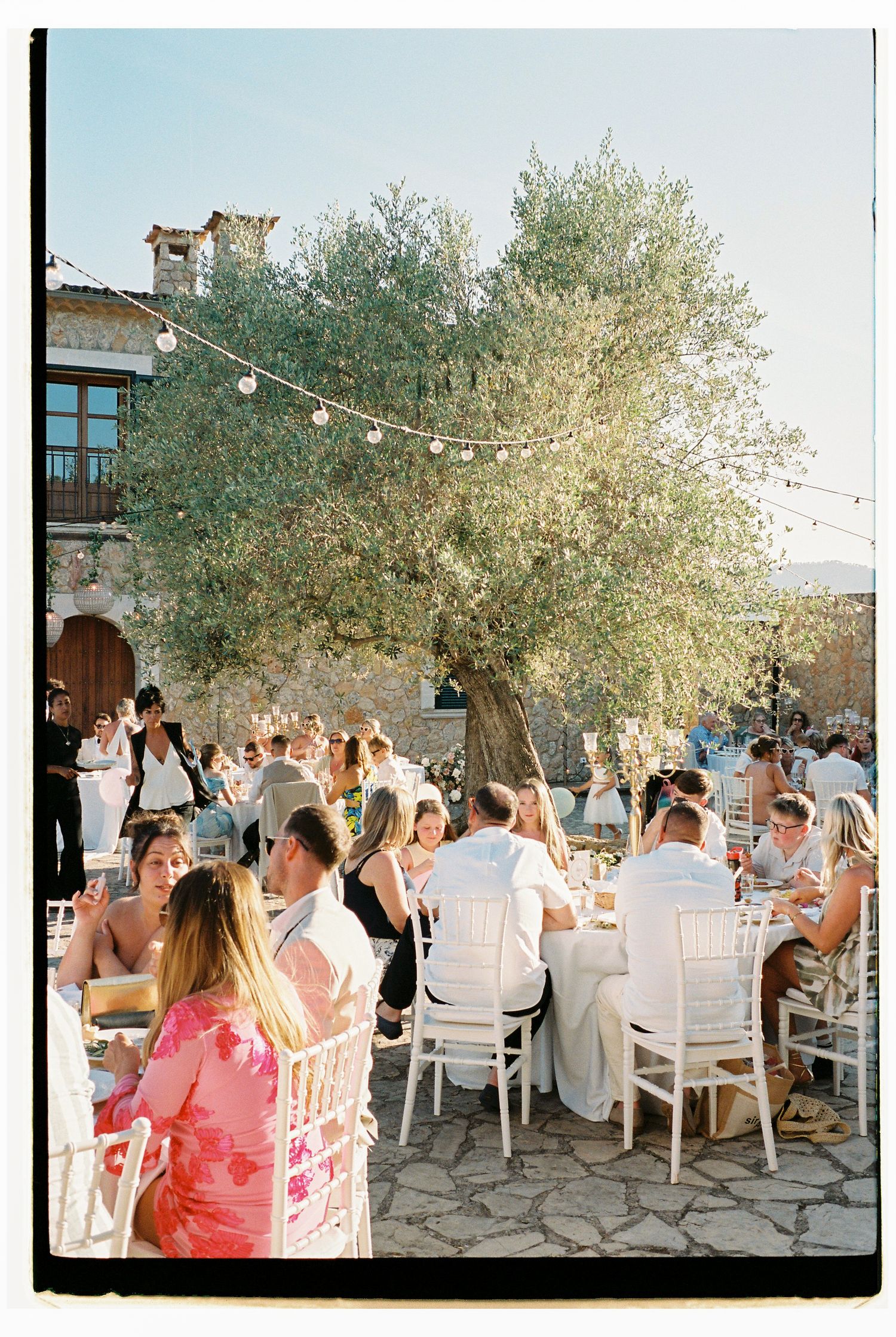 Outdoor wedding reception with guests seated at white tables under olive trees and string lights.