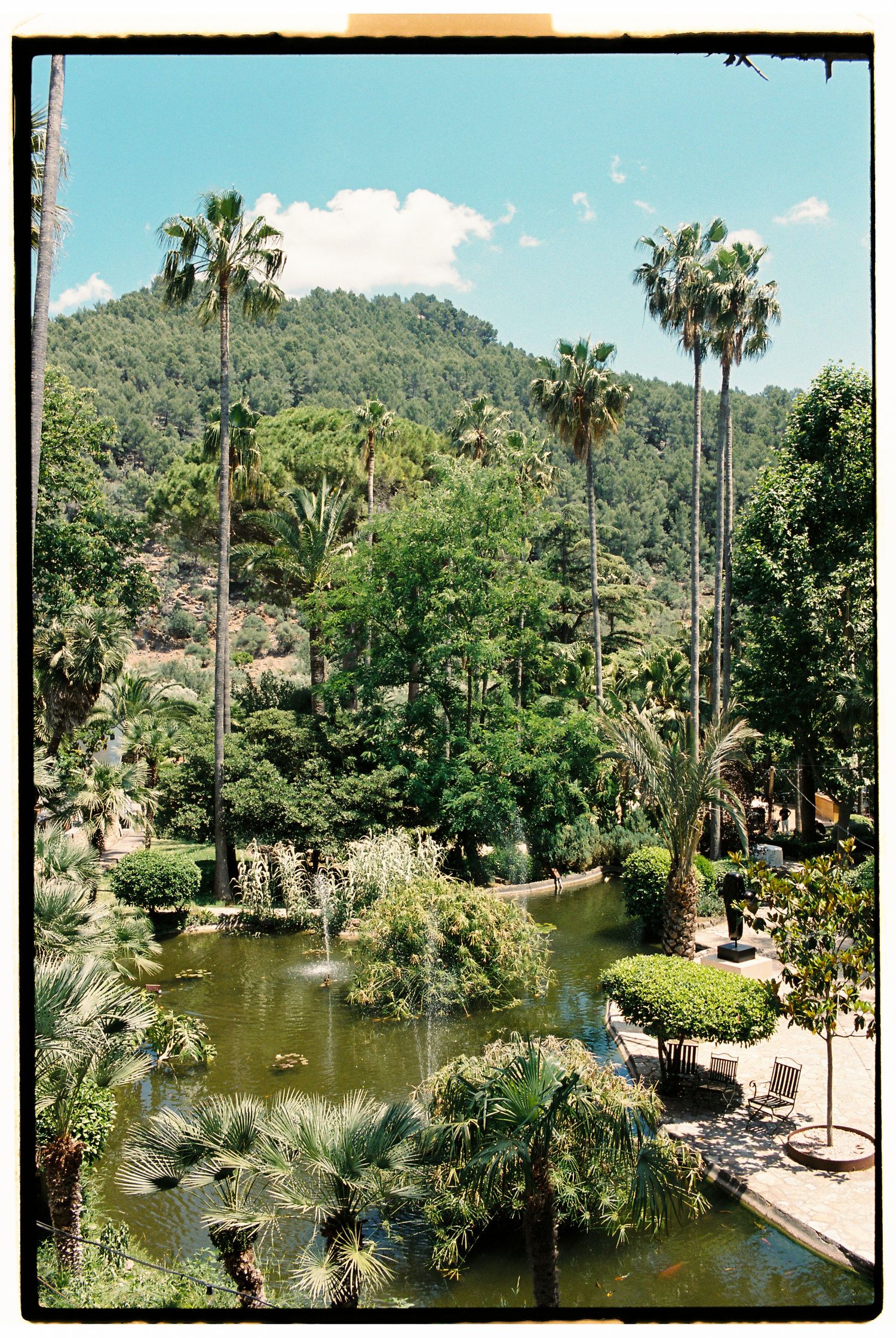 Lush tropical garden with palm trees, a serene pond with fountain, and green hillside under a bright blue sky.