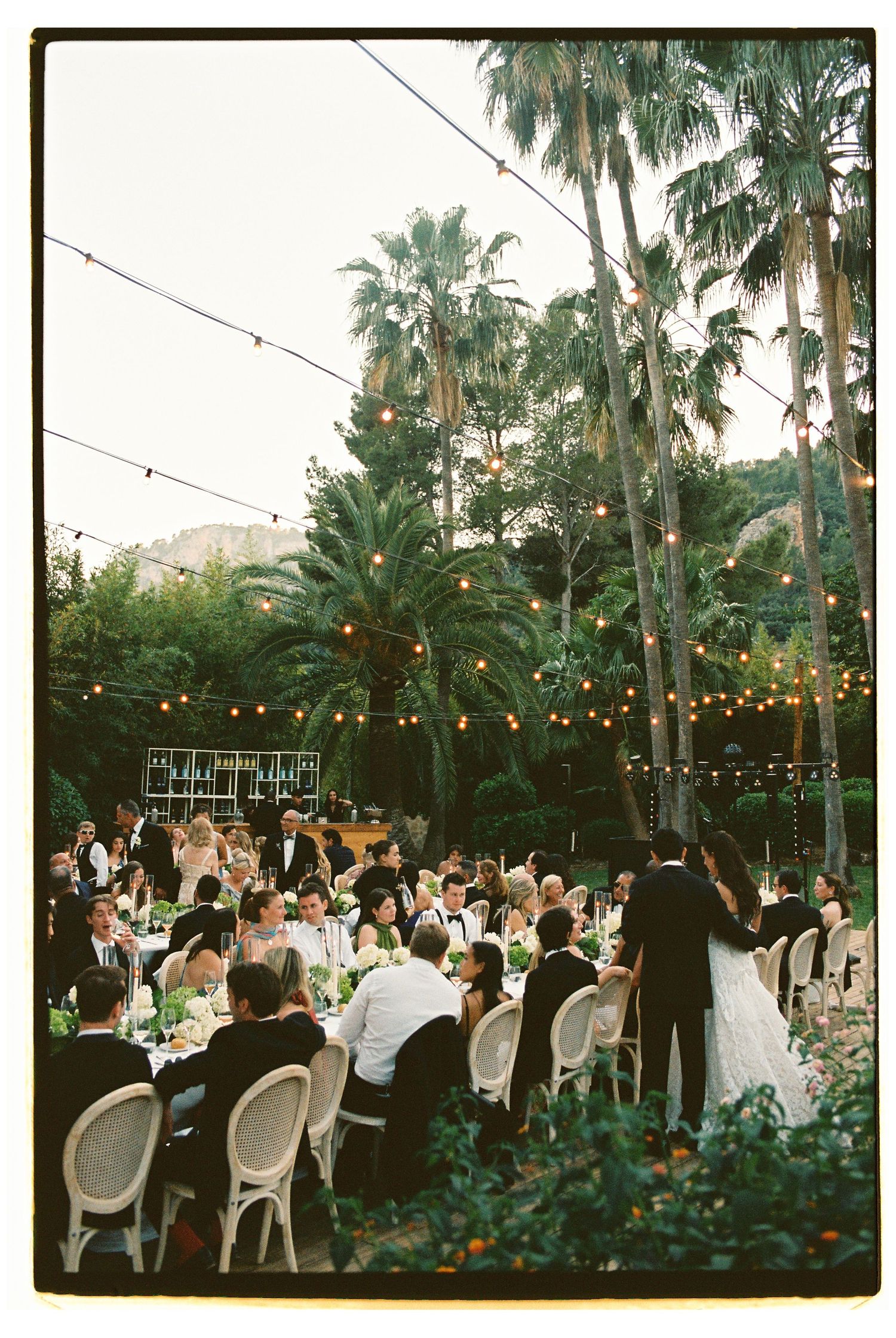 Outdoor wedding reception under string lights surrounded by tall palm trees with guests seated at elegant dining tables.