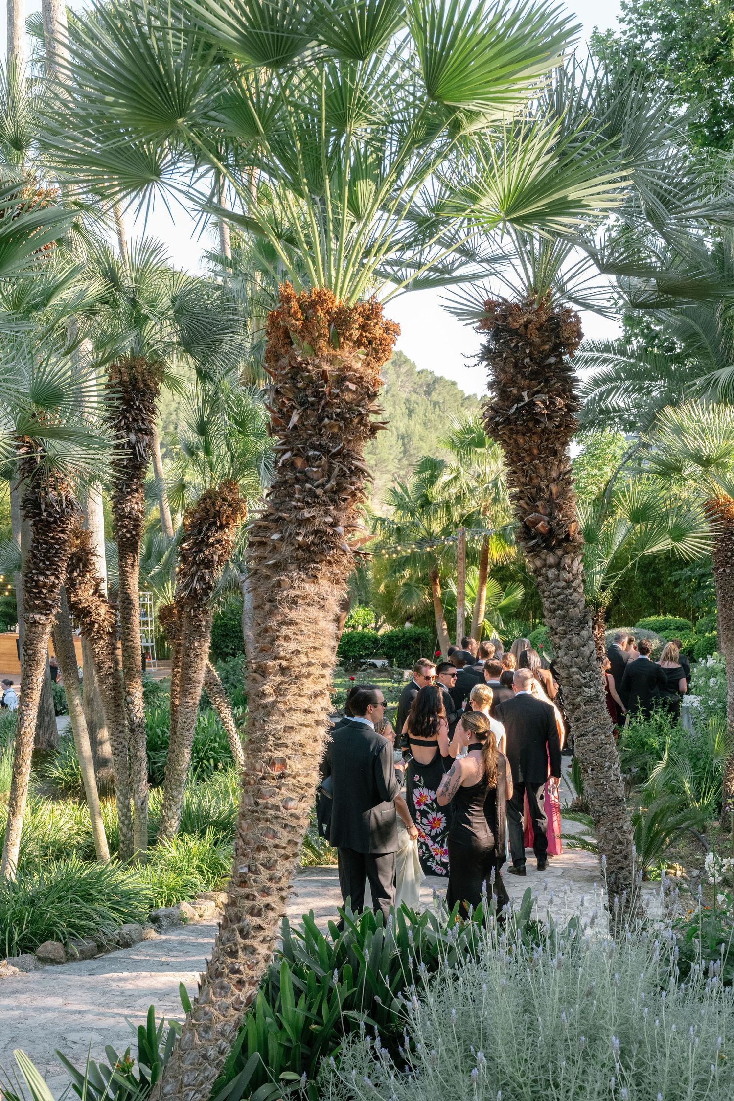 Elegantly dressed guests mingle among tall palm trees in a lush tropical garden setting during an outdoor event.