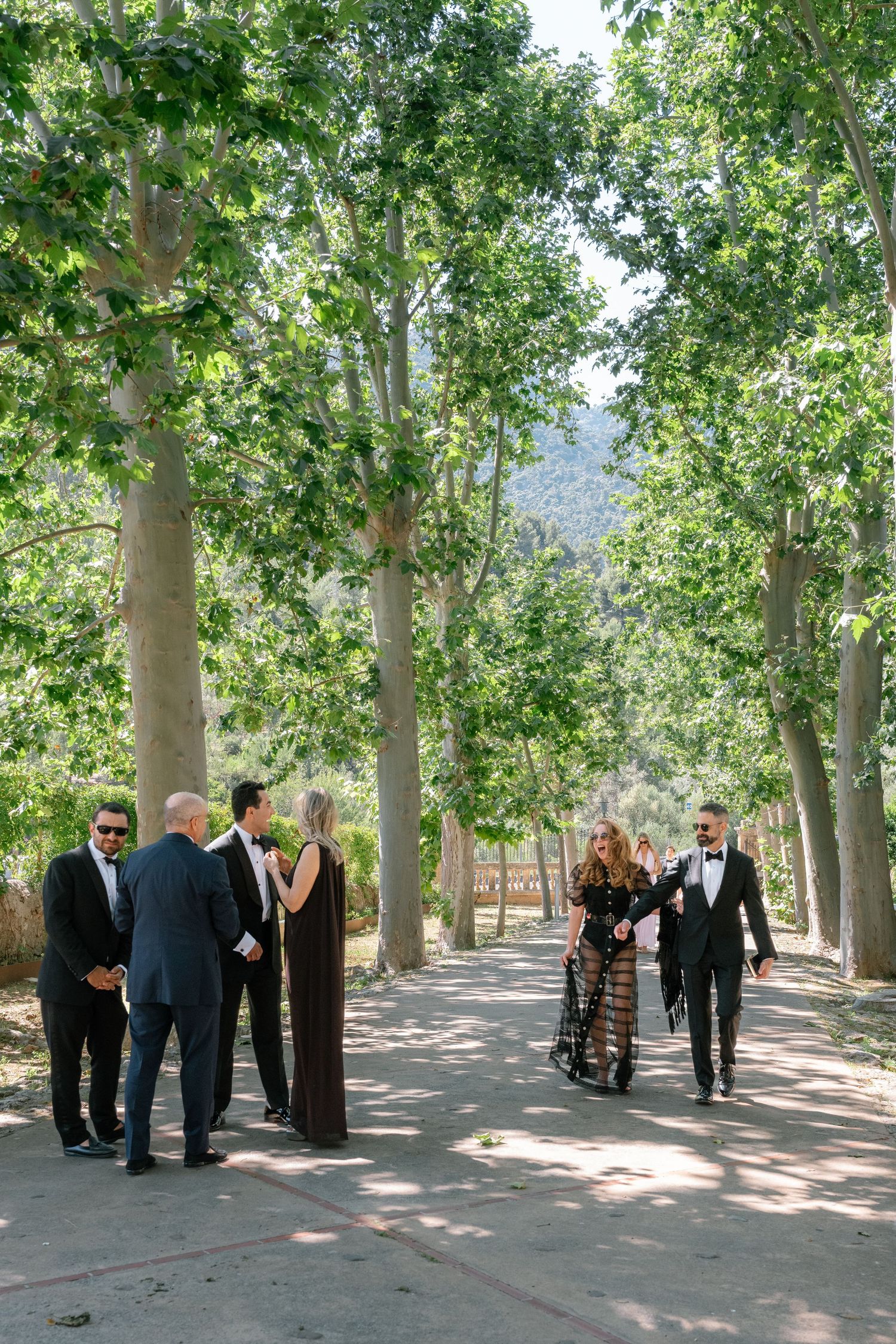Elegantly dressed wedding guests mingle along a tree-lined pathway at an outdoor venue surrounded by lush greenery.