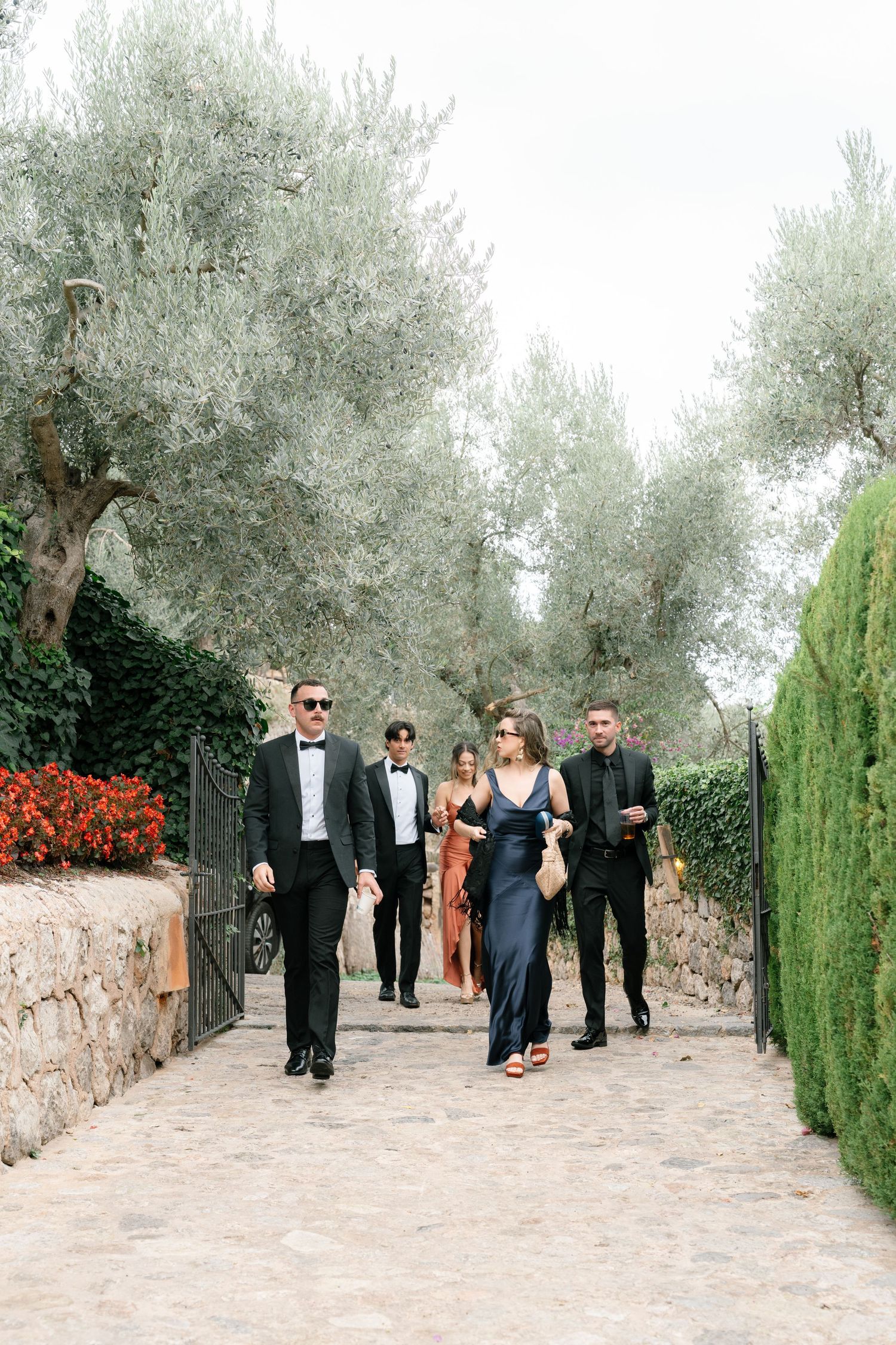 Formal wedding guests walk along a stone path lined with tall cypress trees and olive trees.