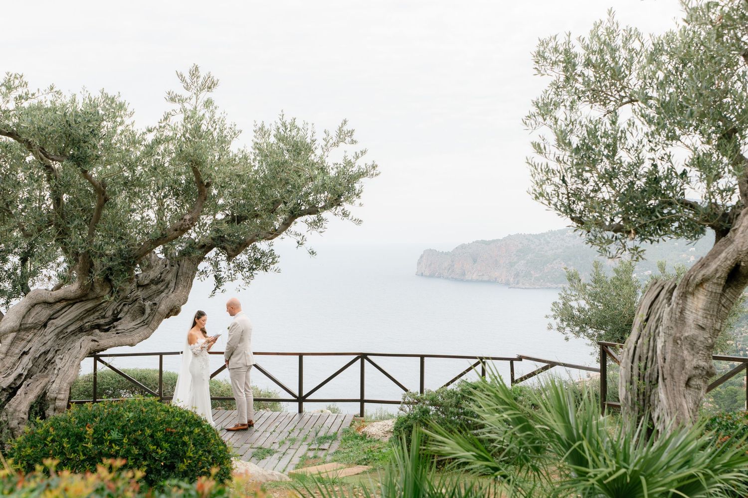 Elegant wedding photography session among ancient olive trees with a coastal backdrop.
