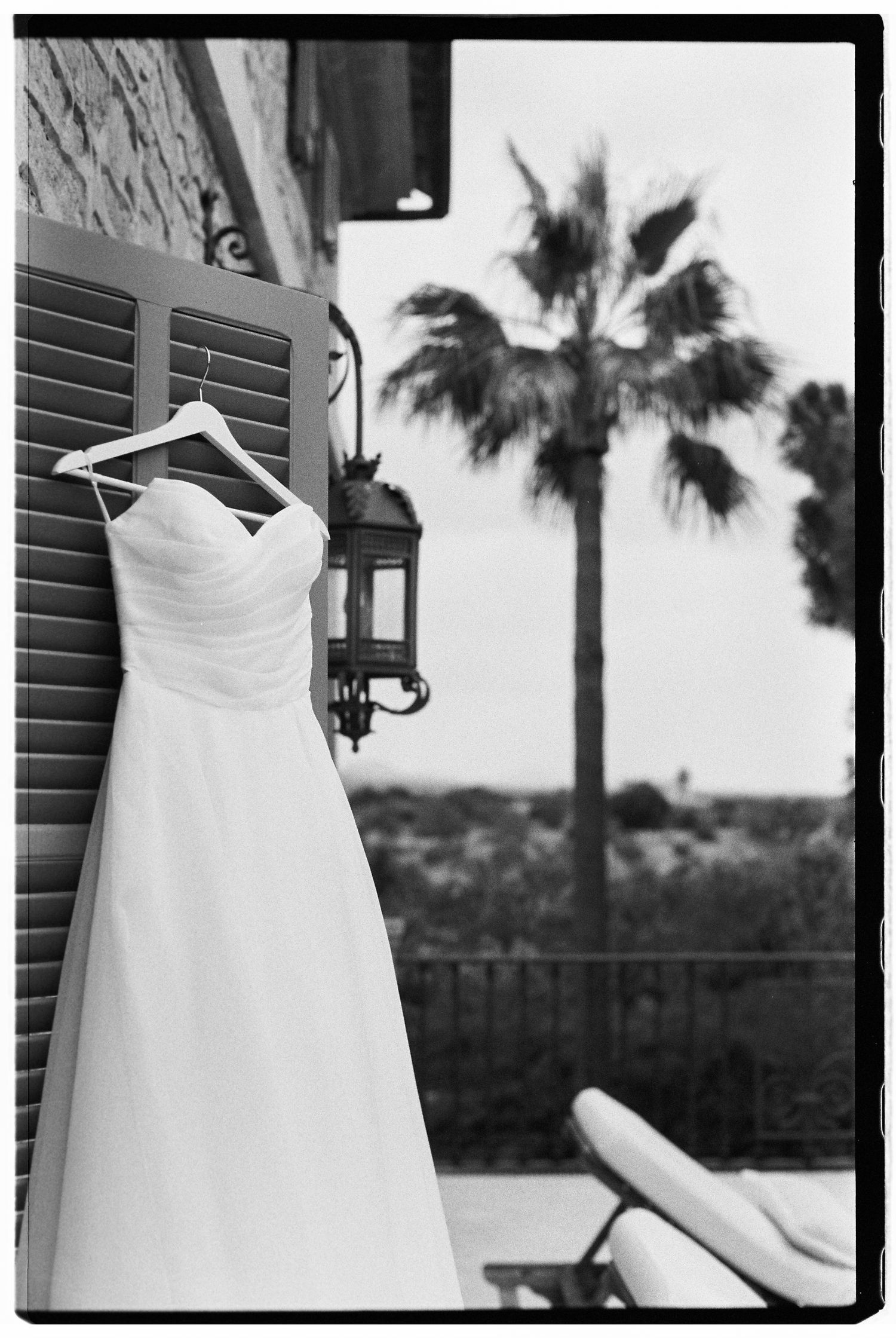 Elegant strapless white wedding dress displayed outdoors with palm trees in background.