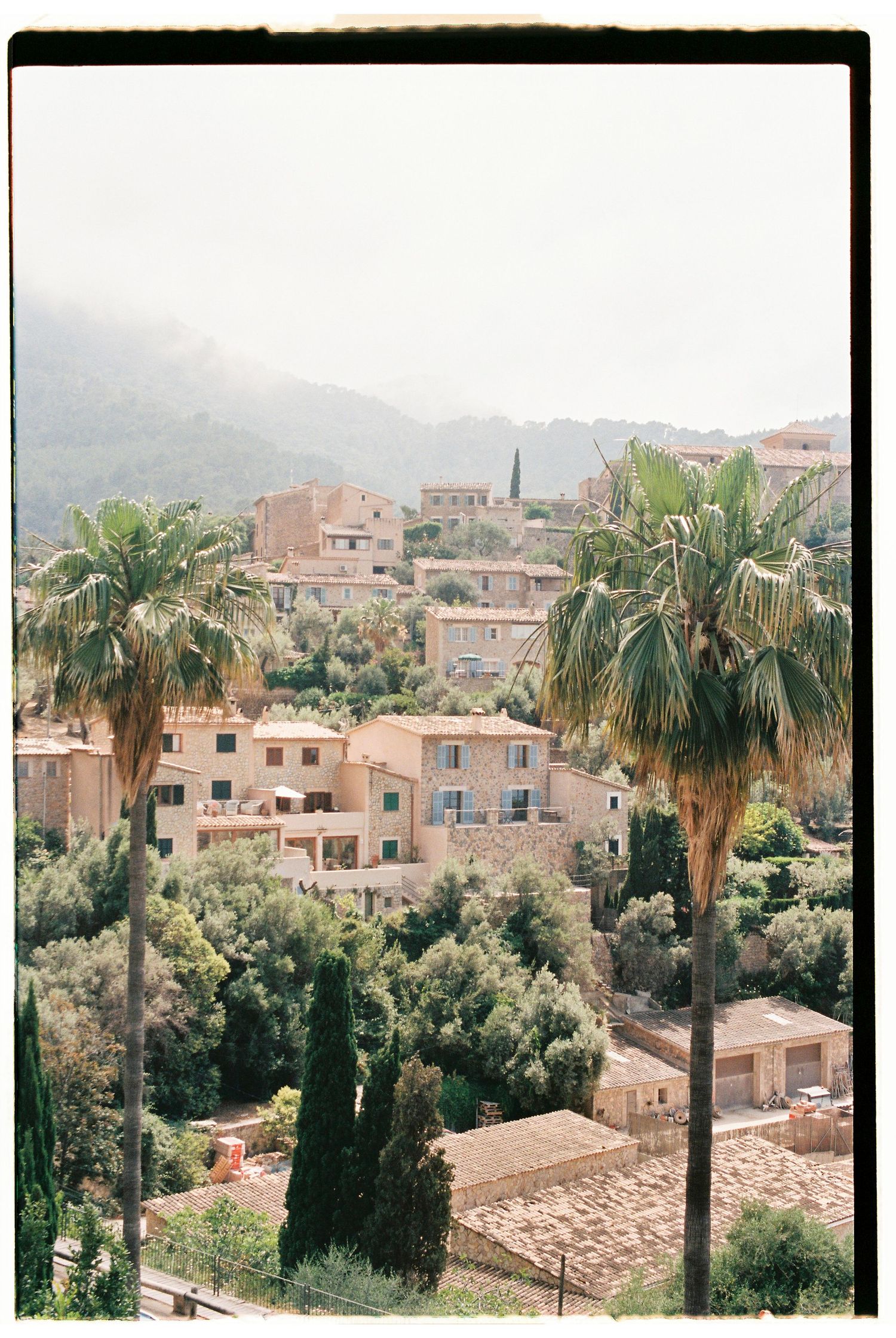 Mediterranean hillside village view with palm trees and terracotta buildings.