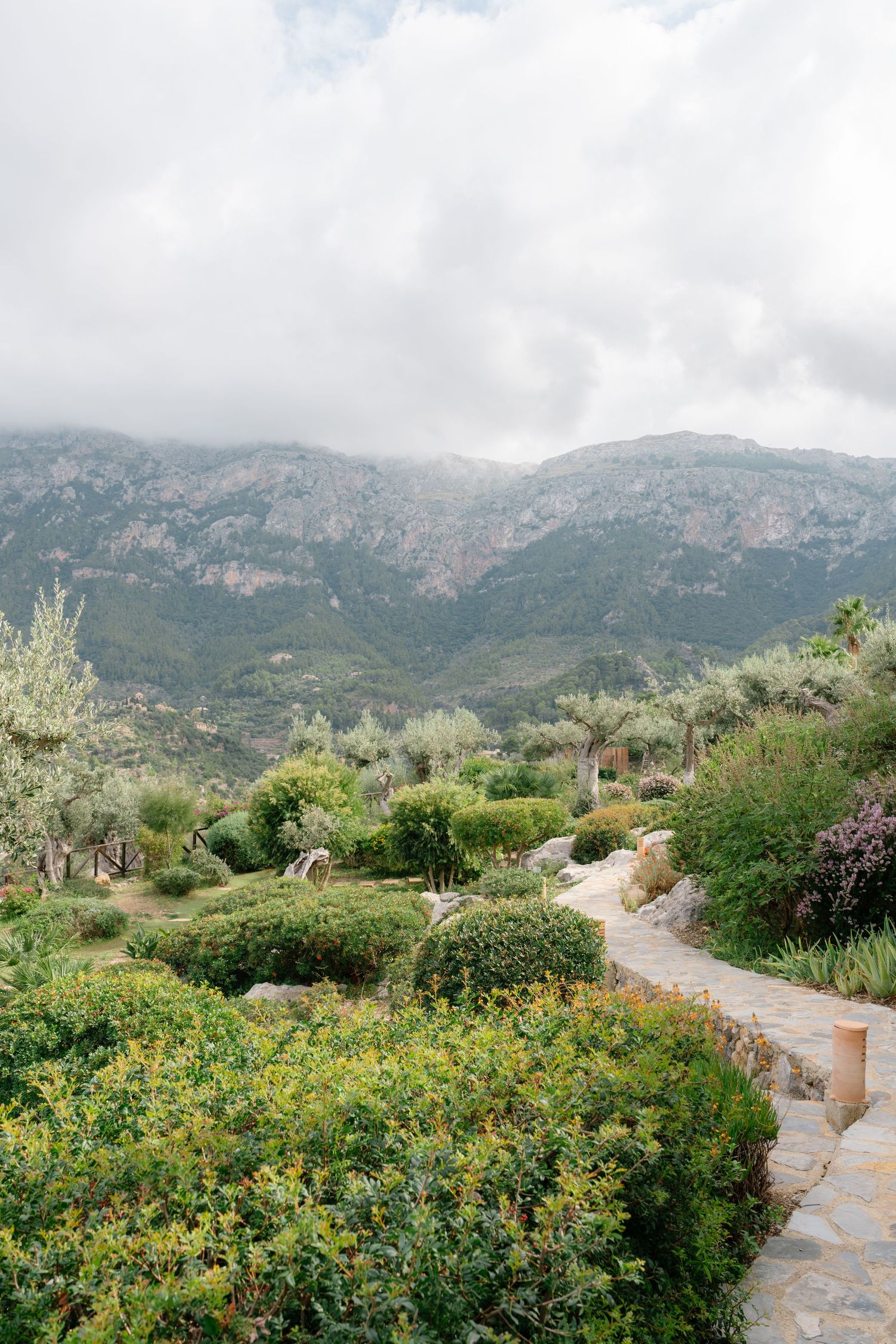 Sa Pedrissa. Stone pathway winds through lush Mediterranean garden with olive trees and mountain backdrop.