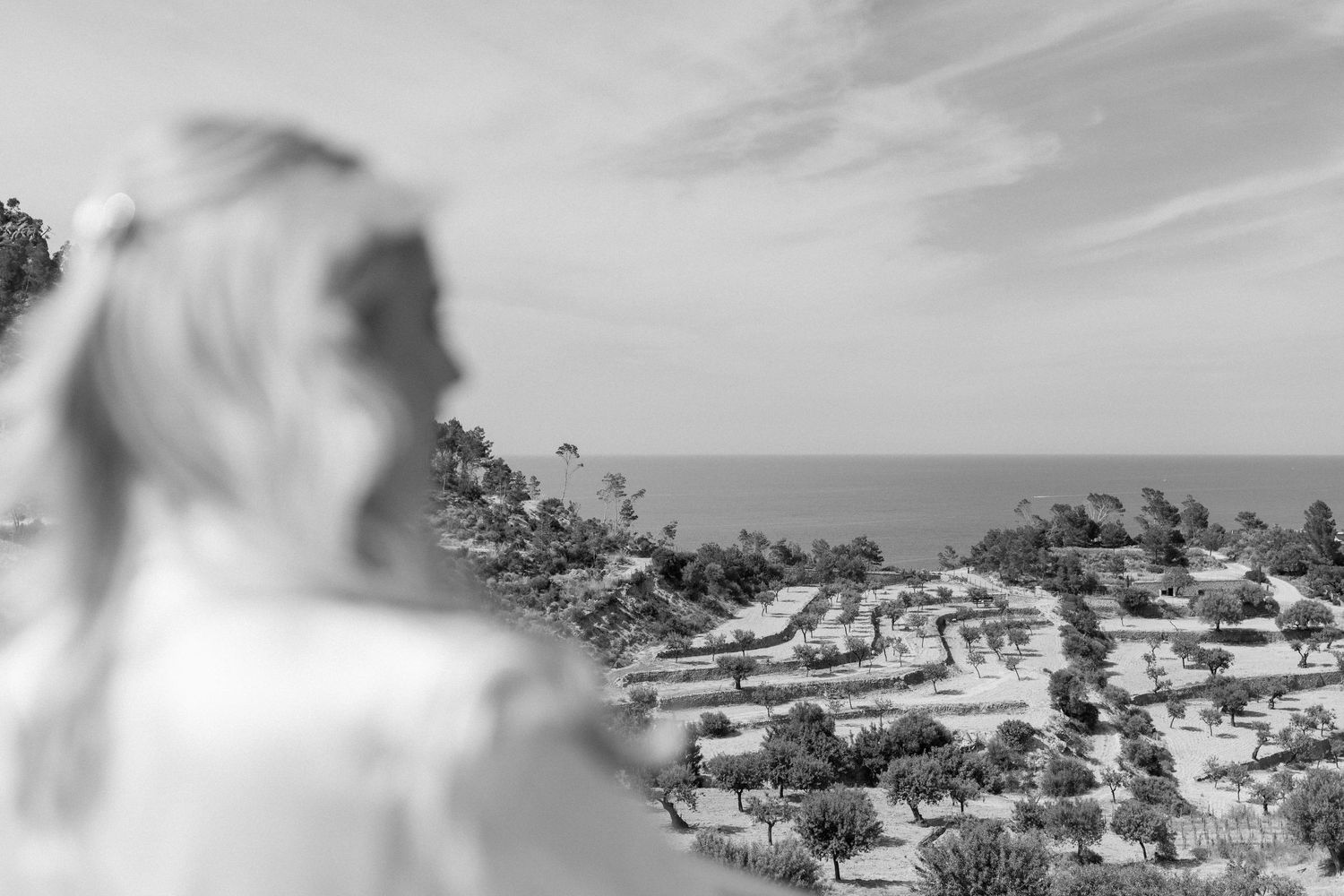 Black and white landscape view of terraced coastal hillside with person silhouette.