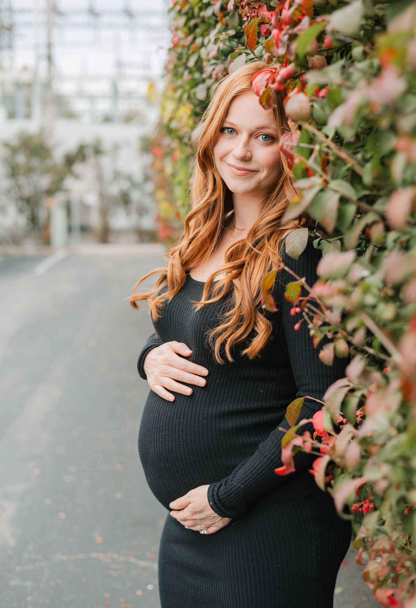 fall maternity burning bush