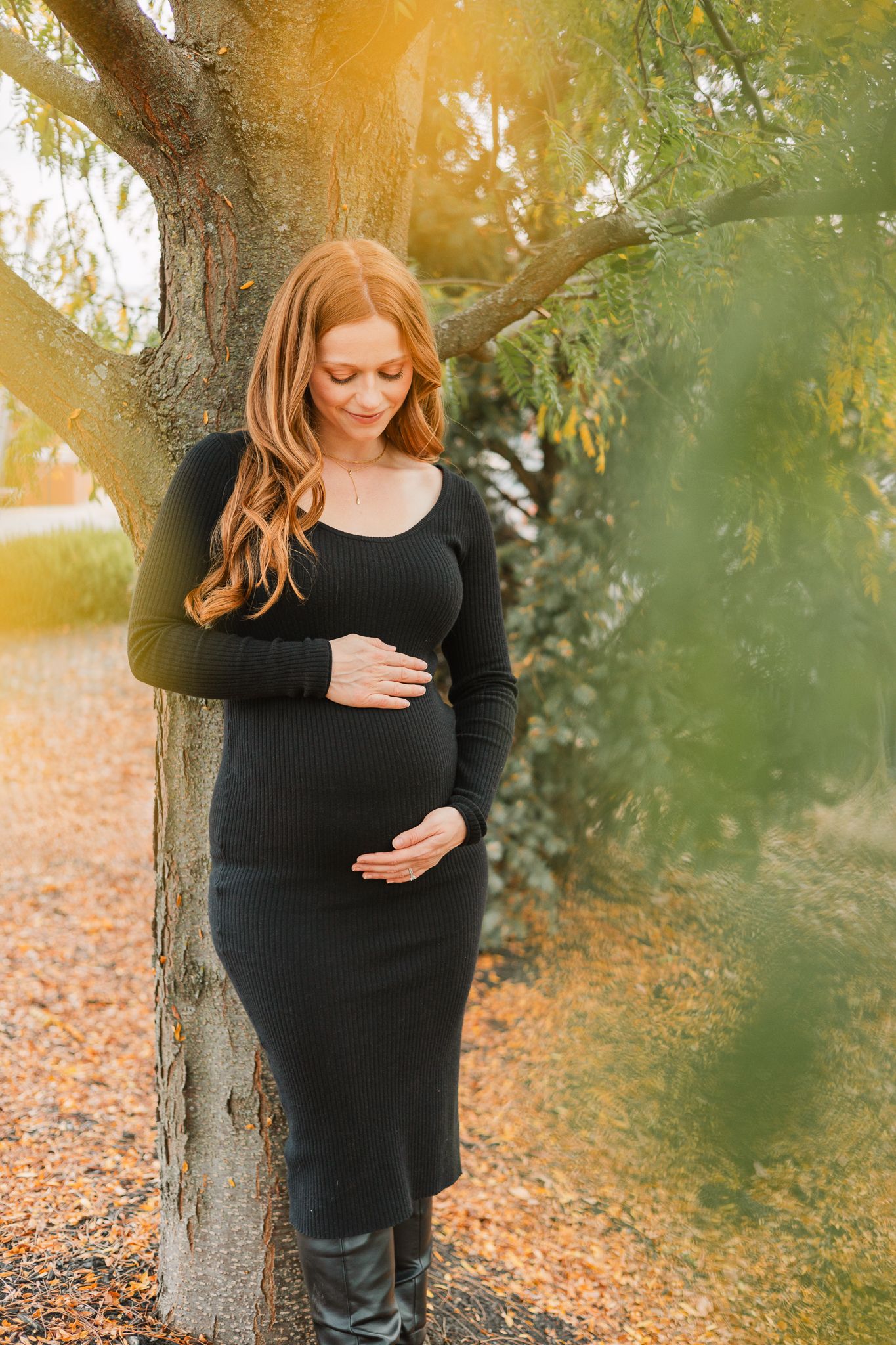 fall maternity tree scene