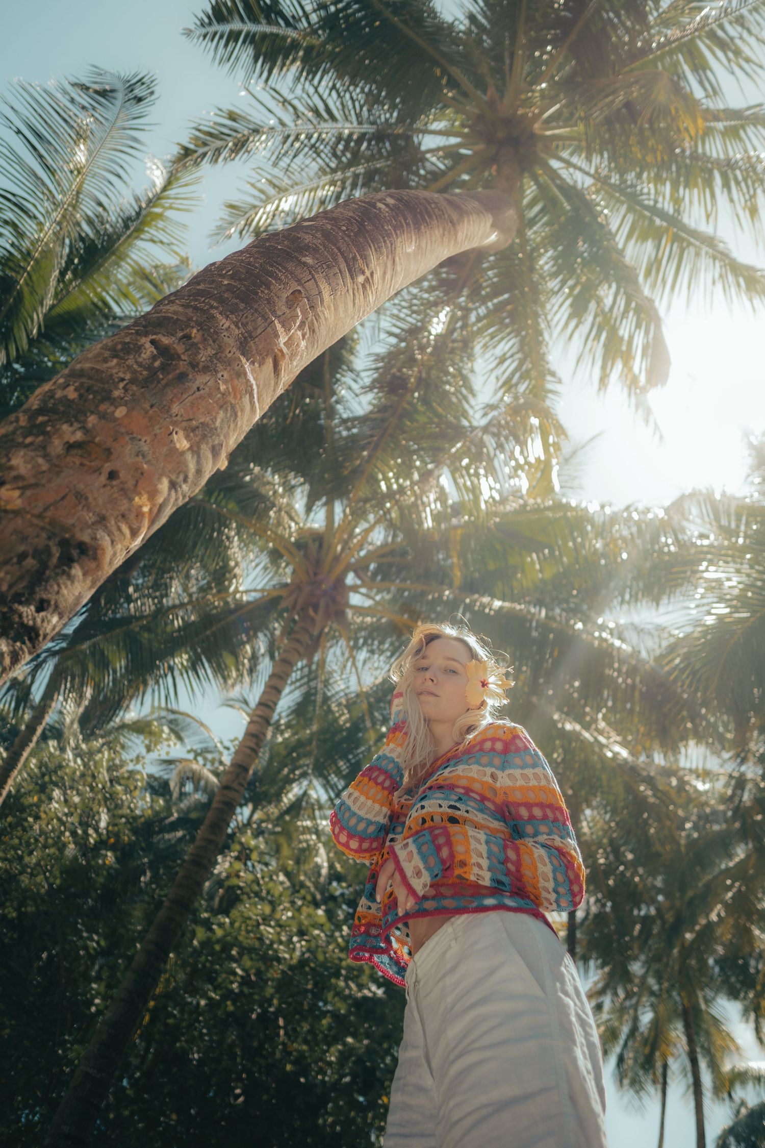 Looking up at tall palm trees with sunlight filtering through the leaves.