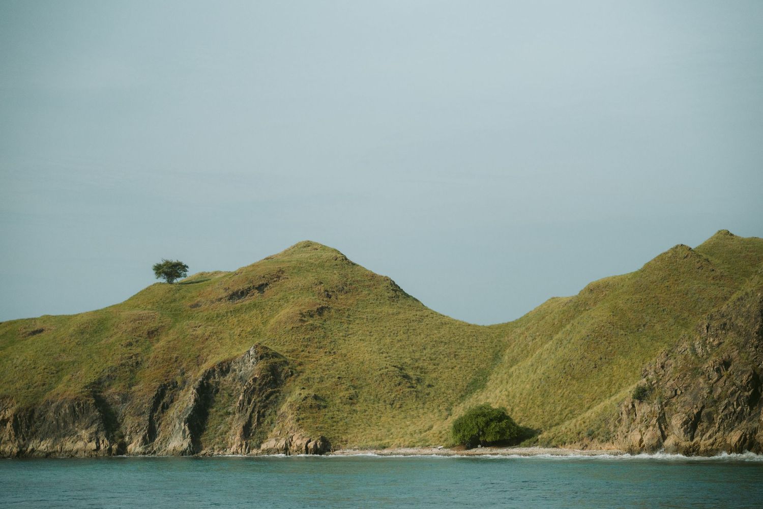 Rolling green hills and cliffs along a serene coastline under cloudy skies.