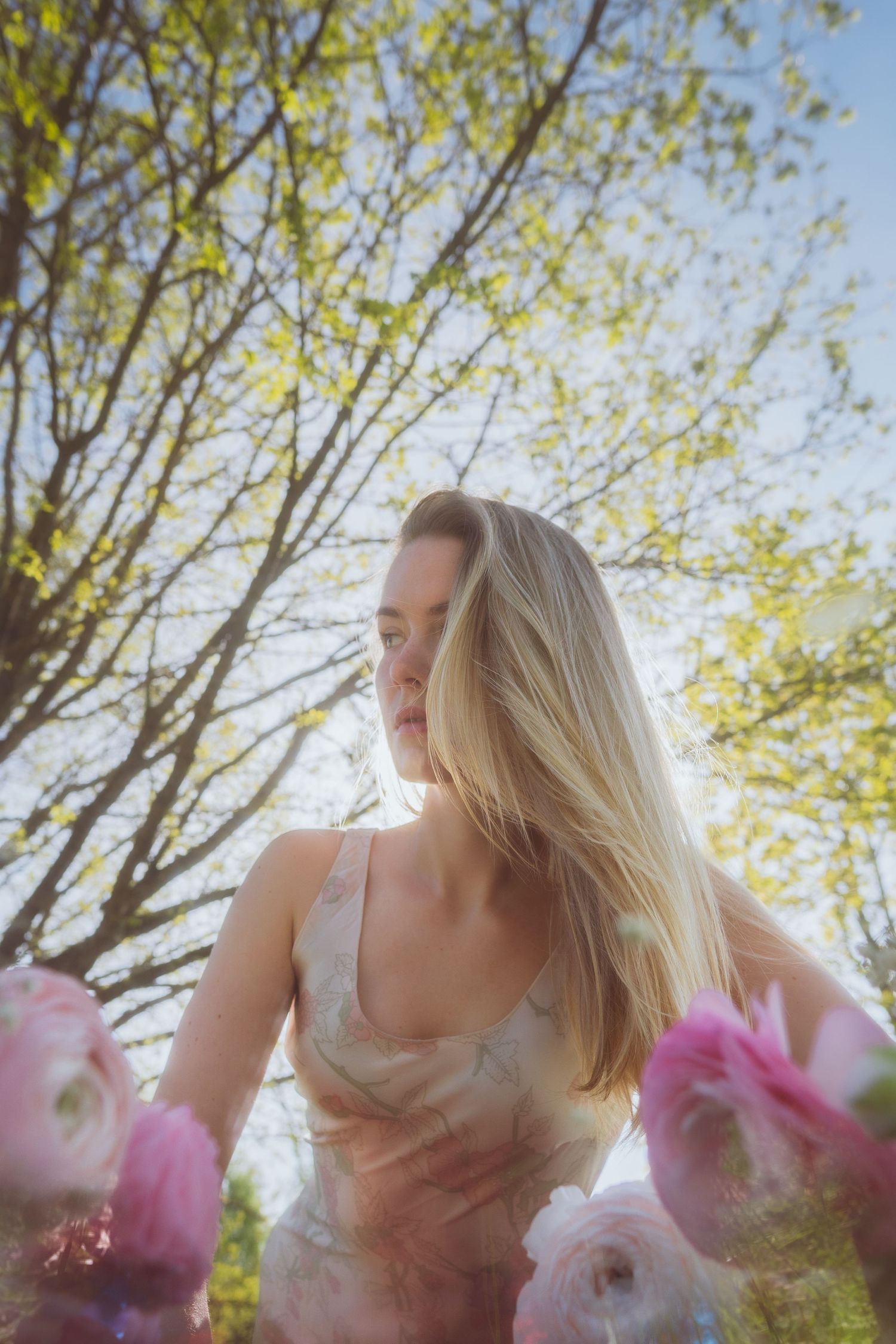 Ethereal spring scene with pink and white flowers blooming beneath sunlit tree branches.