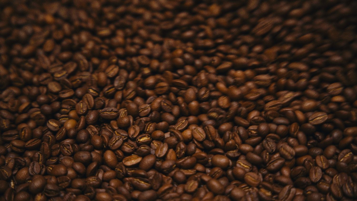 Close-up of freshly roasted dark brown coffee beans piled together, showcasing rich texture and color.