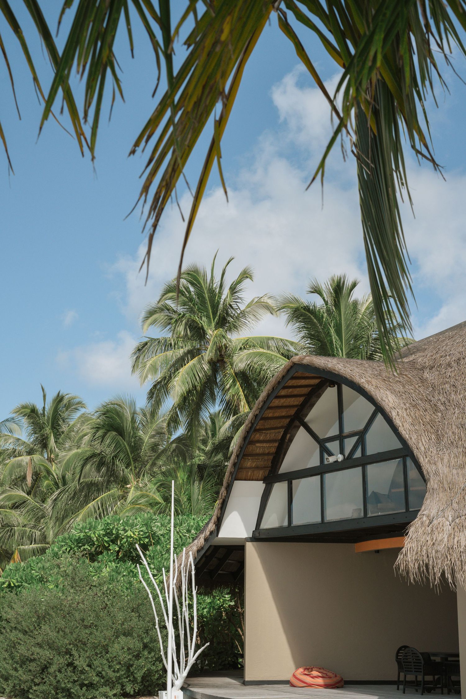 Luxury overwater bungalows with thatched roofs nestled among palm trees at a tropical resort.