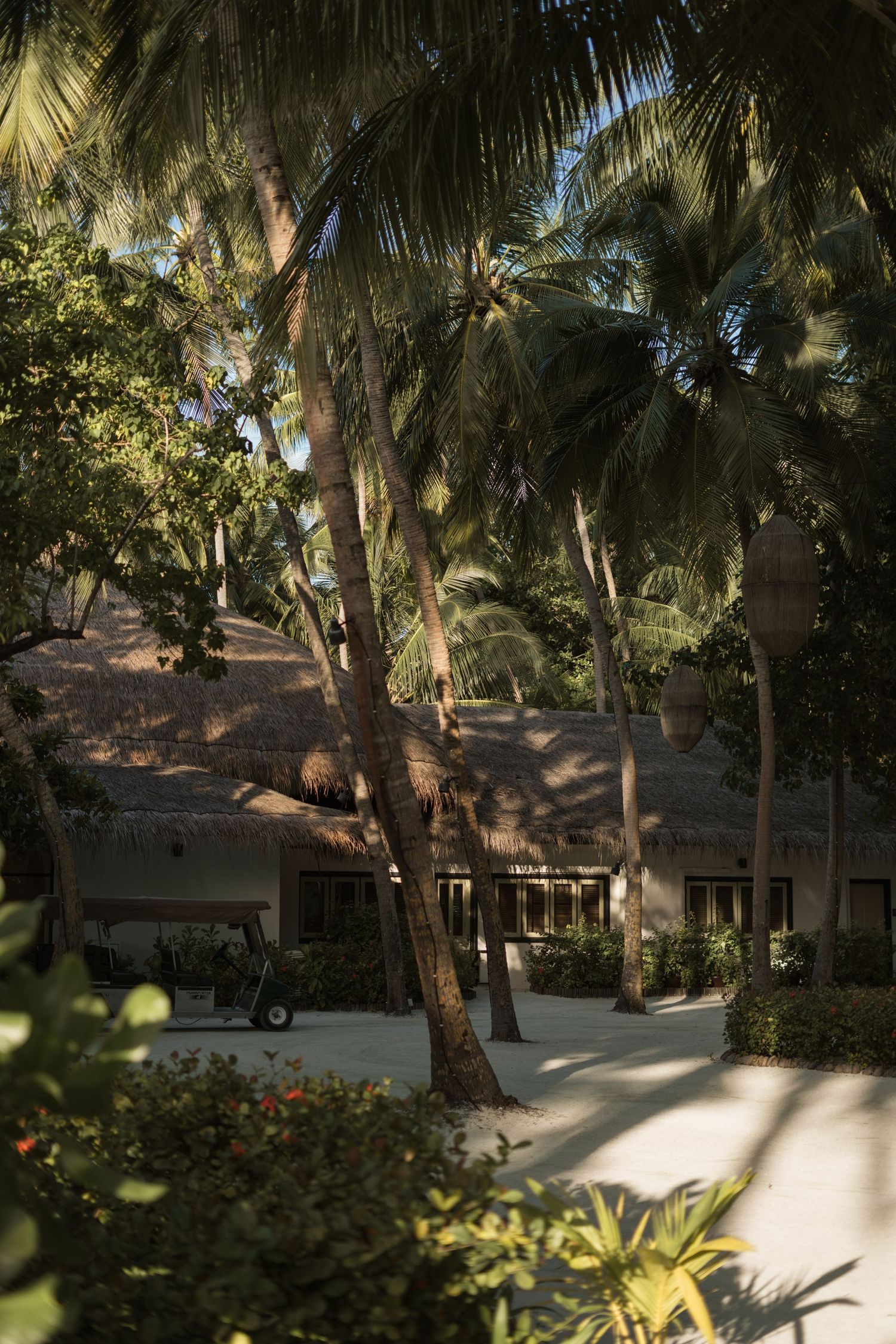 Palm tree-lined pathway leading to traditional thatched-roof beach villas at a tropical resort.