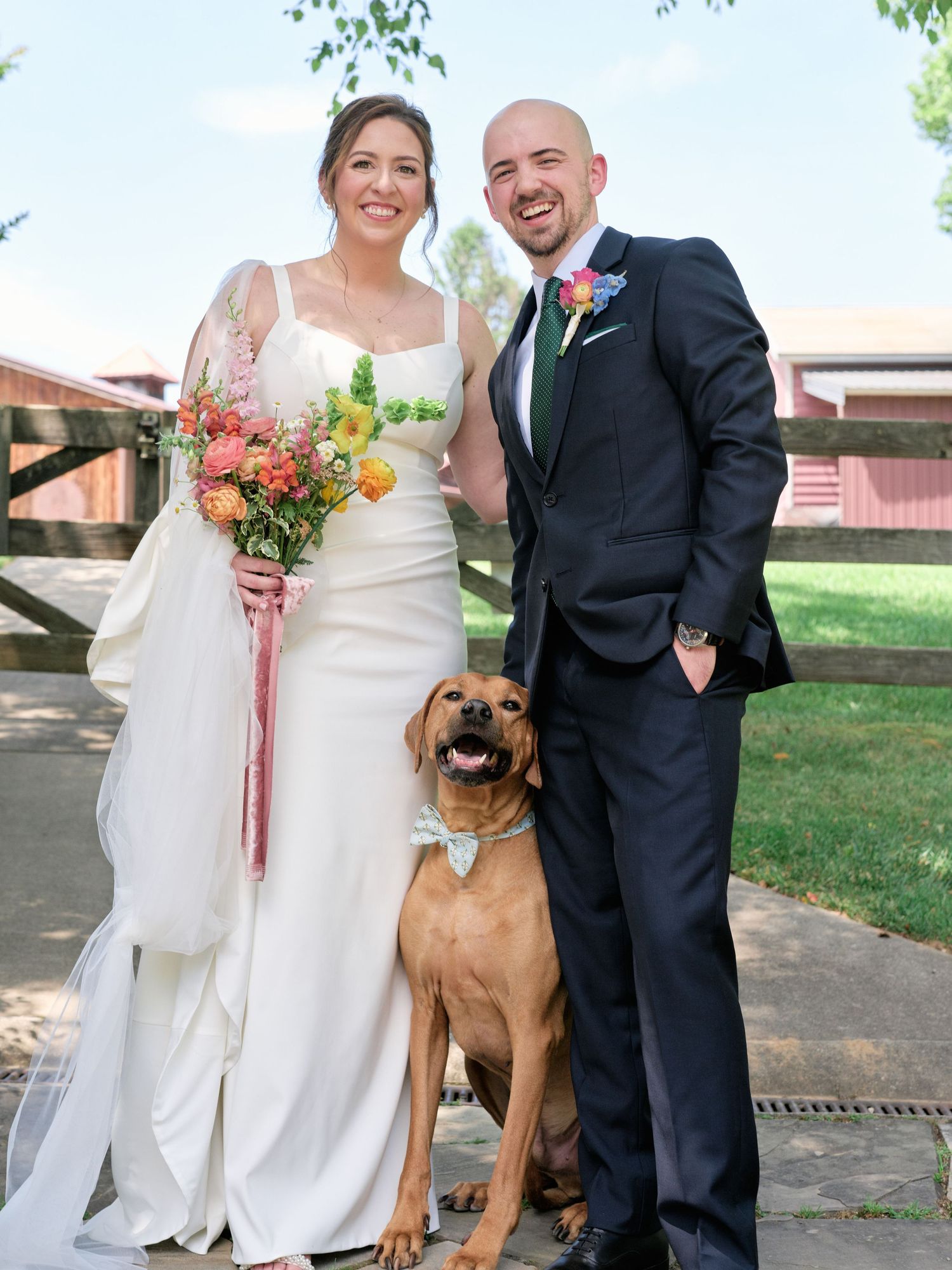Wedding couple poses with their brown dog on a rustic farm property.