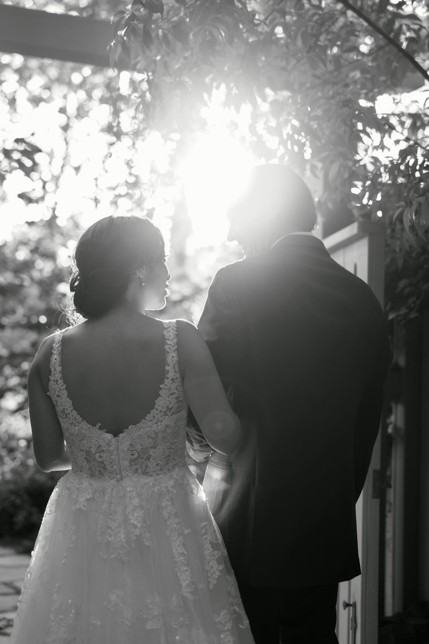 A silhouetted wedding couple backlit by golden sunlight through trees.