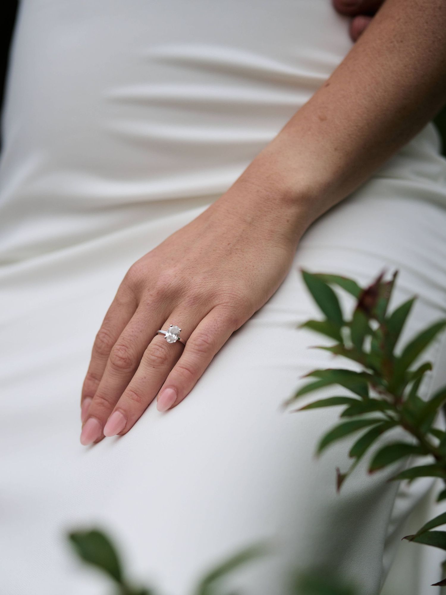 Elopement in Asheville, NC