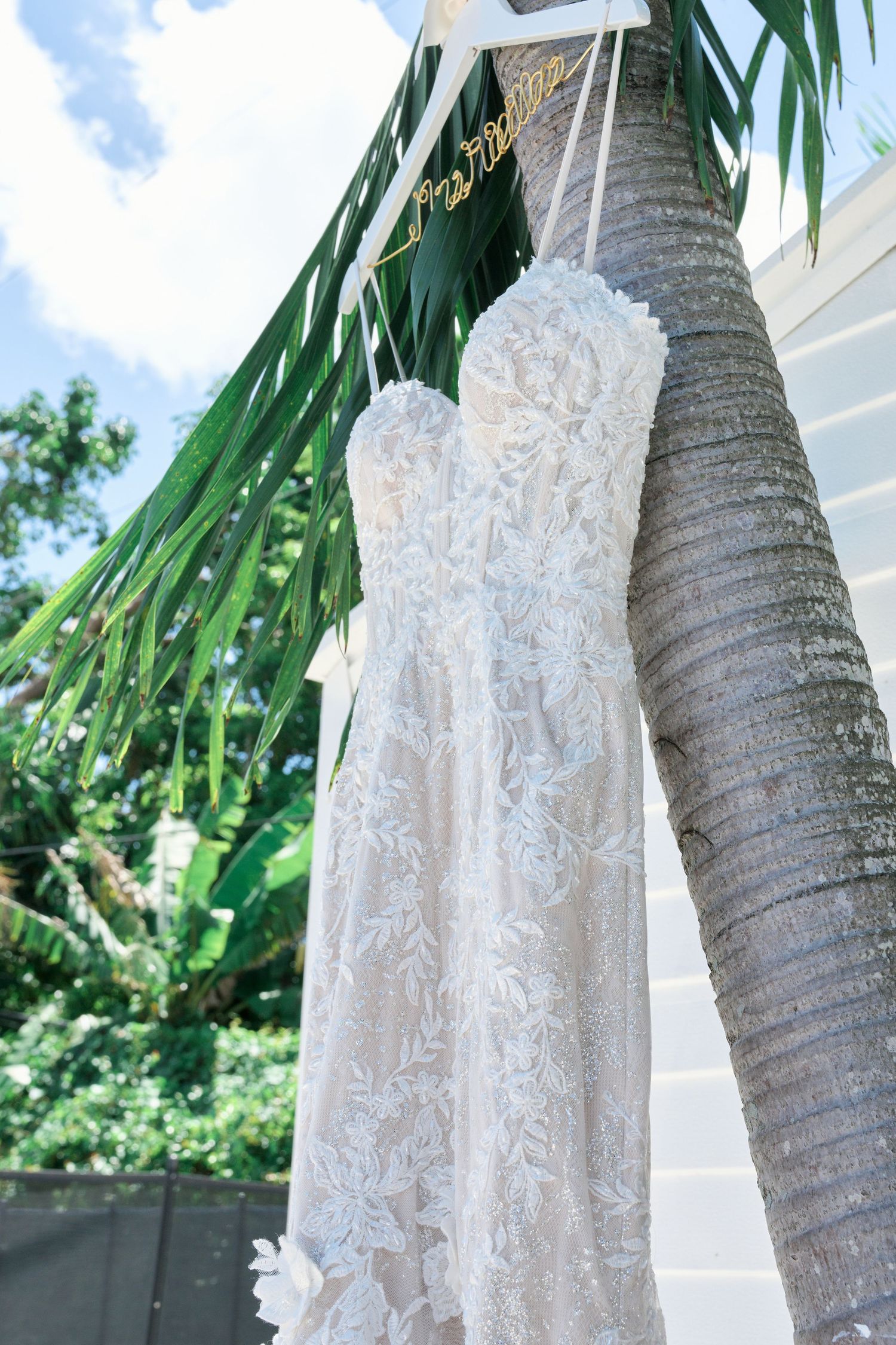 A white lace wedding dress hanging on a palm tree trunk against tropical foliage.