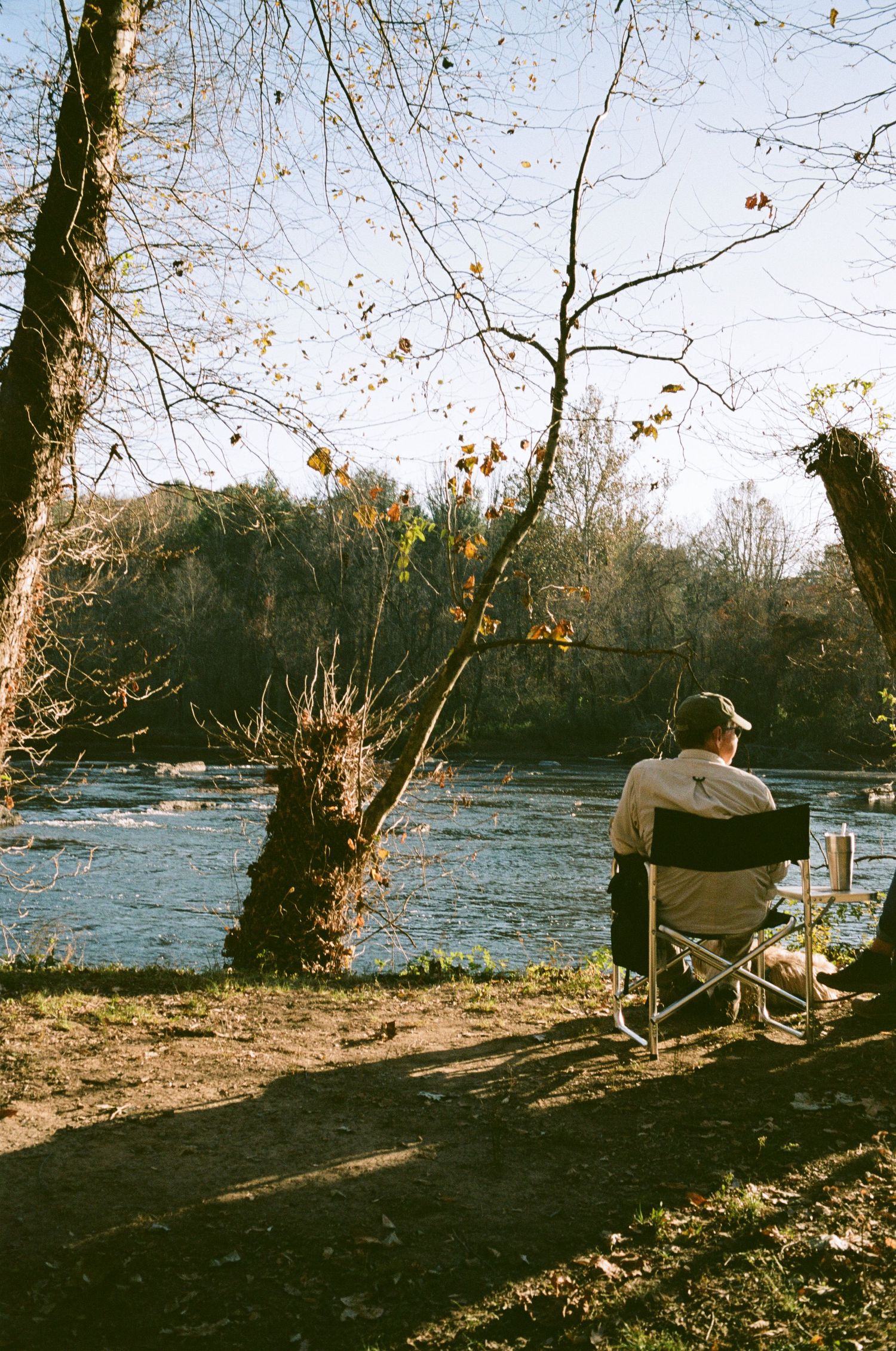Person sitting by river bank with bare trees on autumn afternoon.