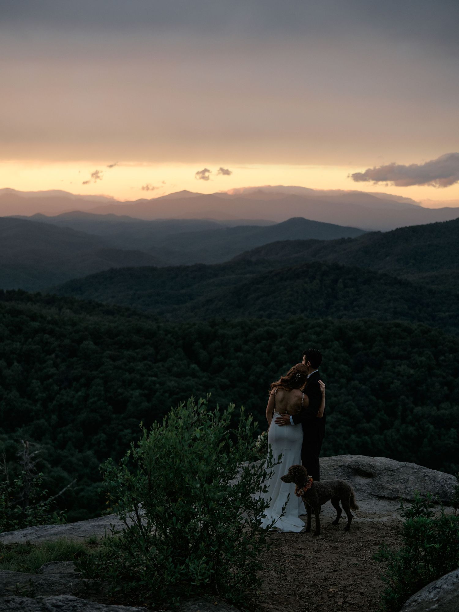 Newlyweds and their dog share a moment on a mountain cliff during a dreamy sunset overlooking rolling hills.