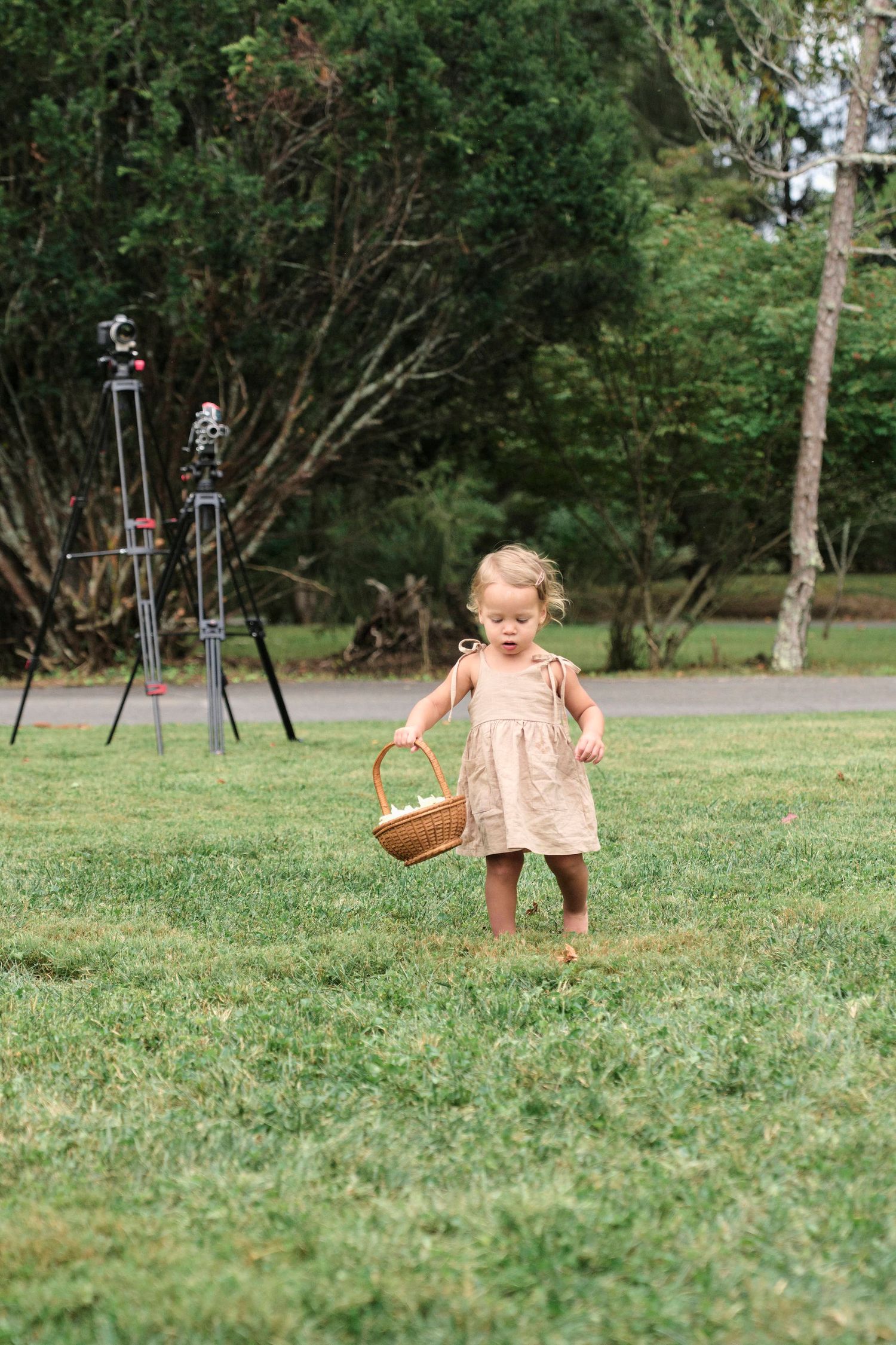 Small child in pink dress carries wicker basket across grassy lawn with camera equipment in background.