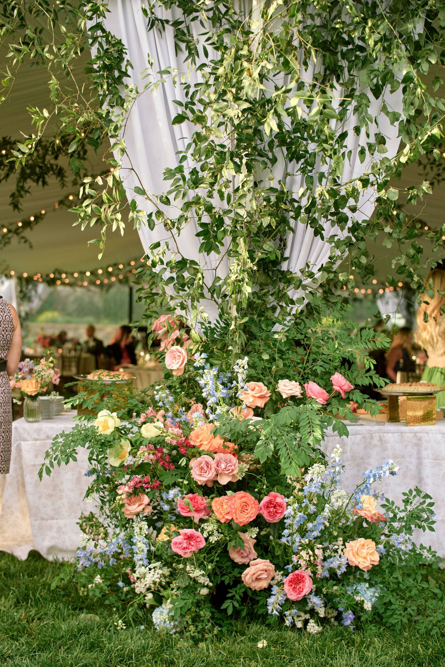 Pink and peach roses bloom against white fabric draping and lush greenery in an outdoor garden setting.